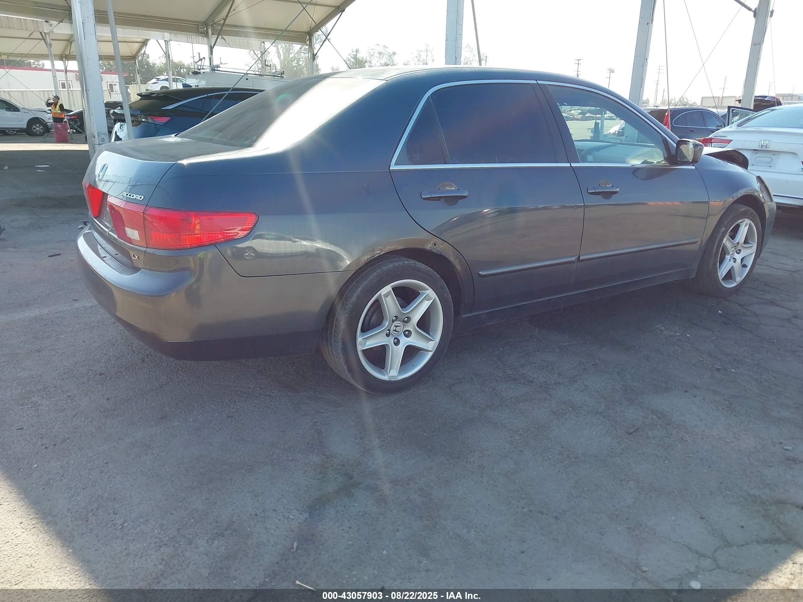 HONDA ACCORD image 4