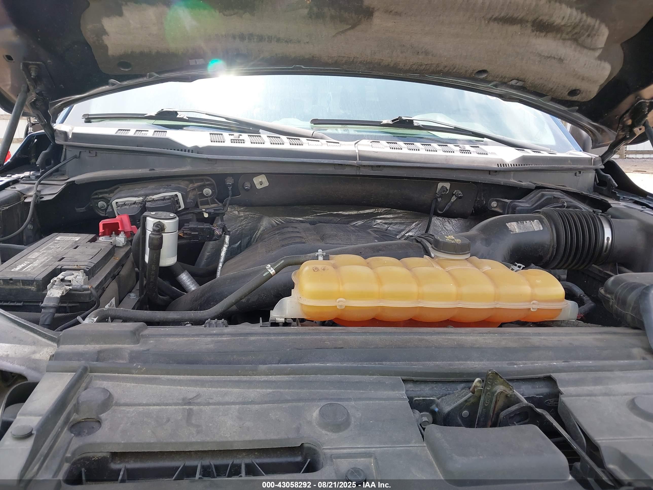 FORD F-150 image 10