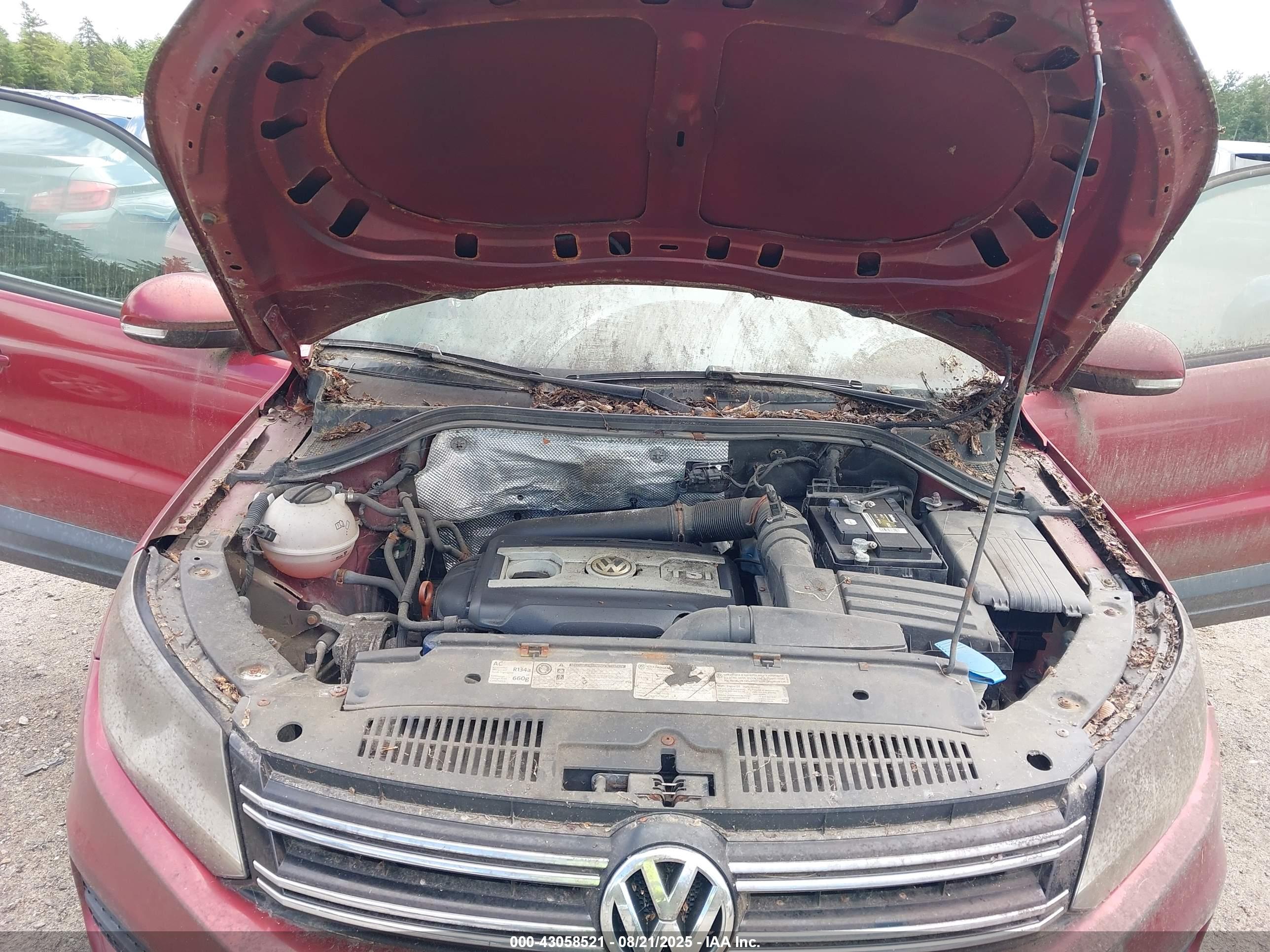 VOLKSWAGEN TIGUAN image 10