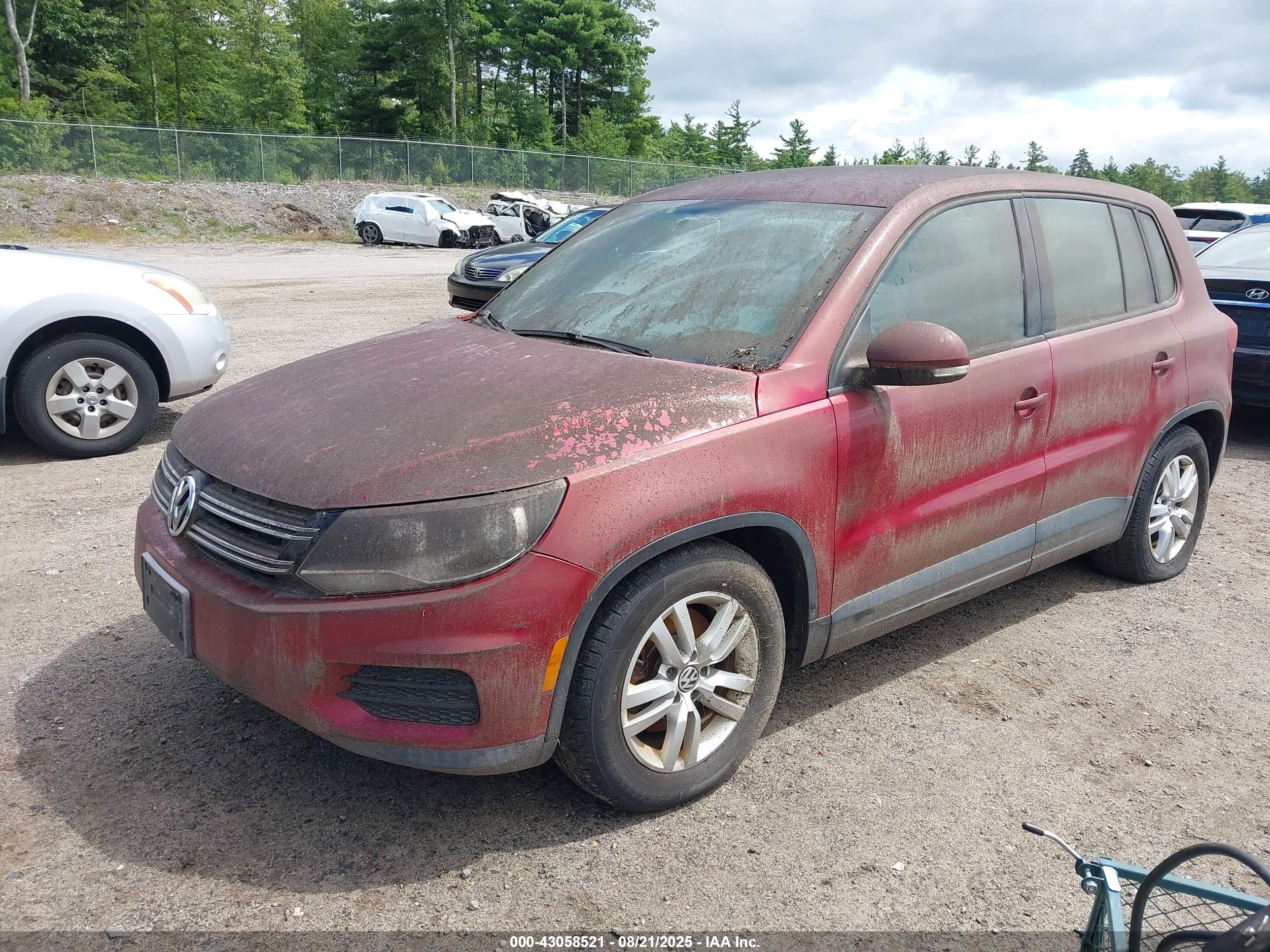 VOLKSWAGEN TIGUAN image 2