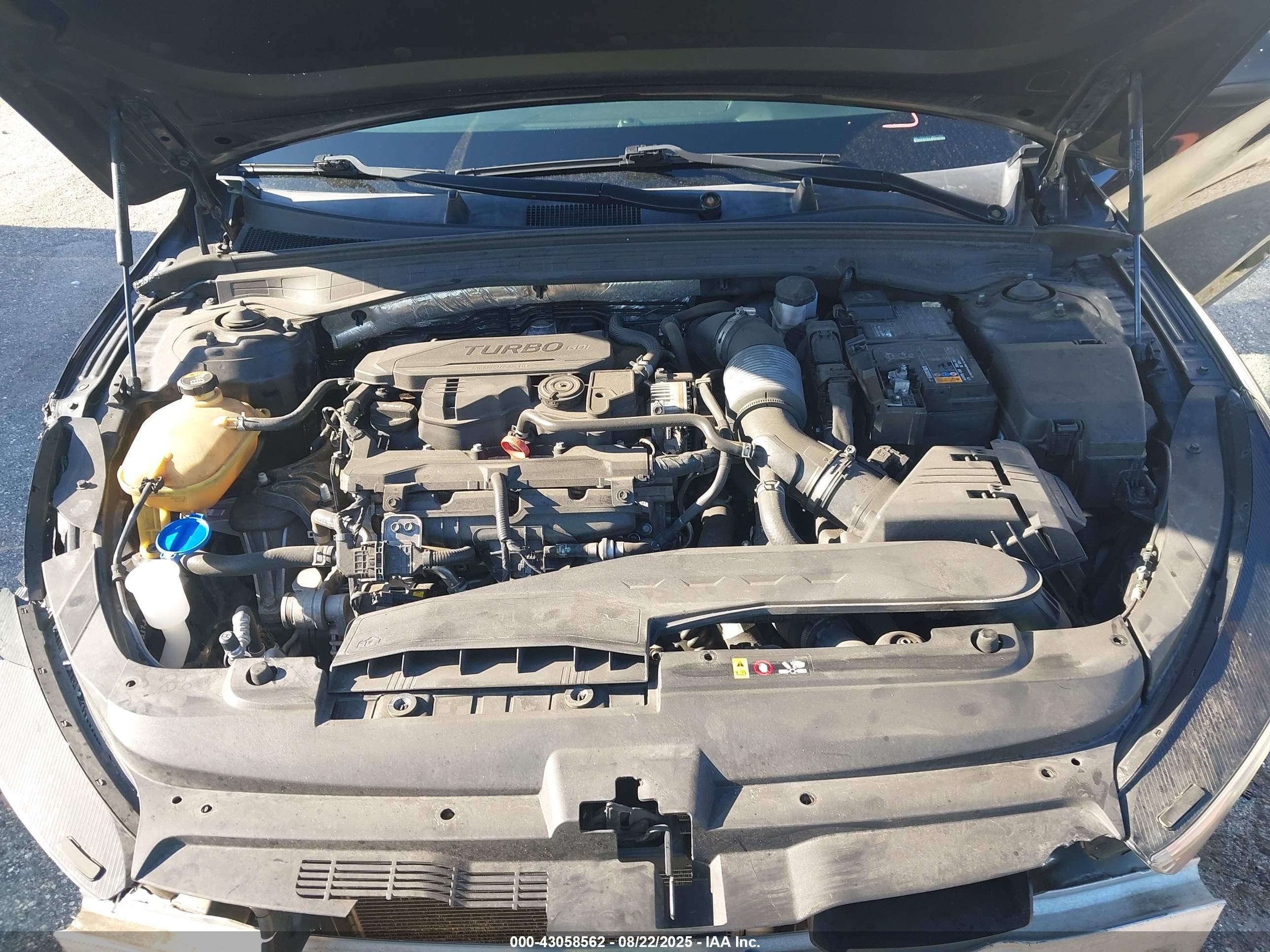 KIA K5 image 10