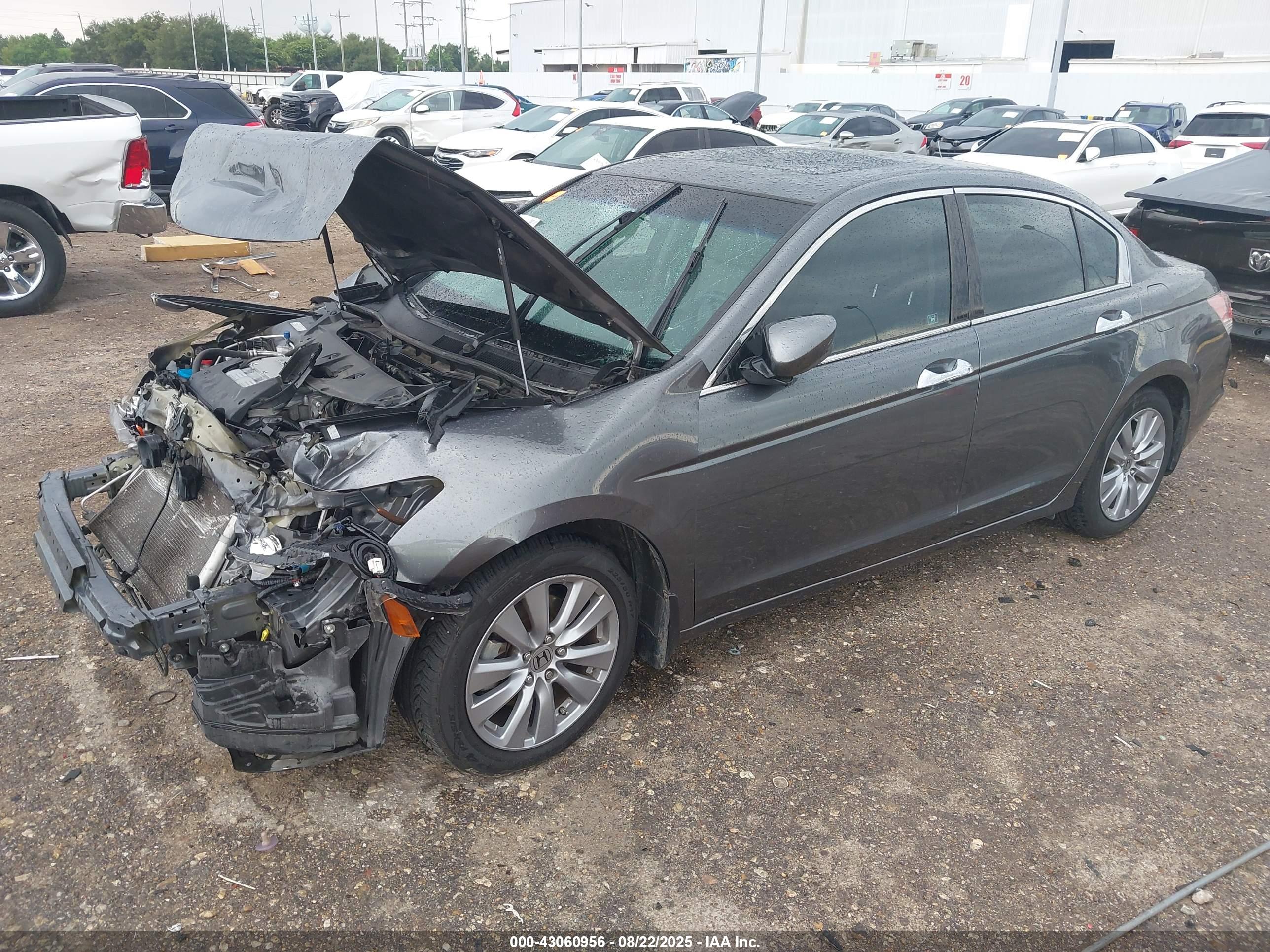 HONDA ACCORD image 2