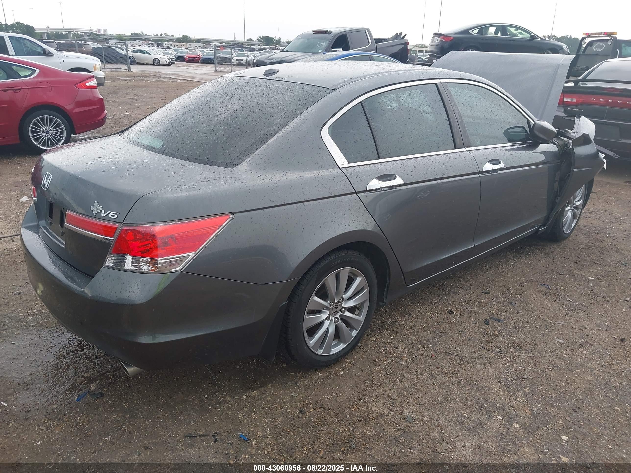 HONDA ACCORD image 4