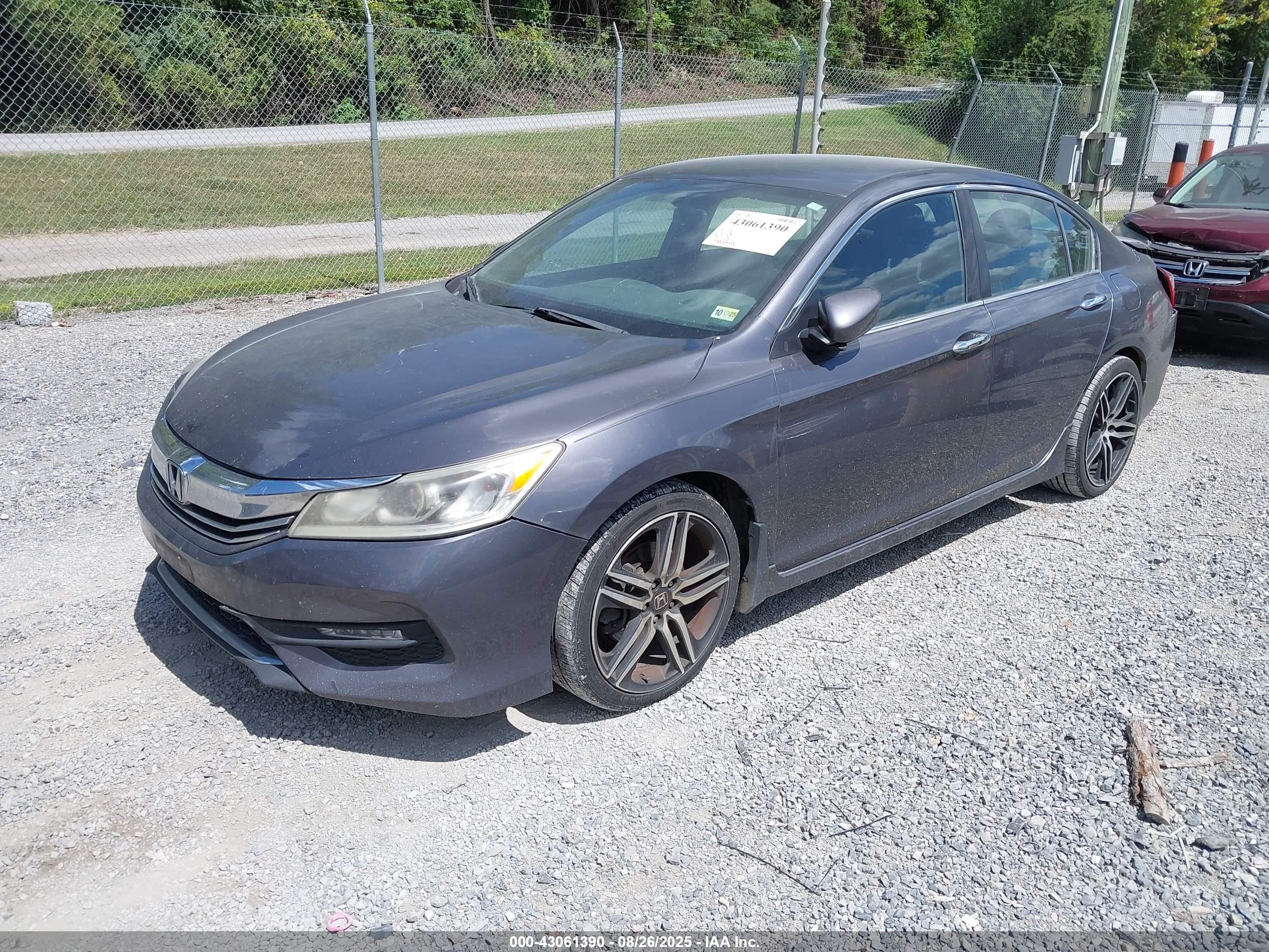 HONDA ACCORD image 2