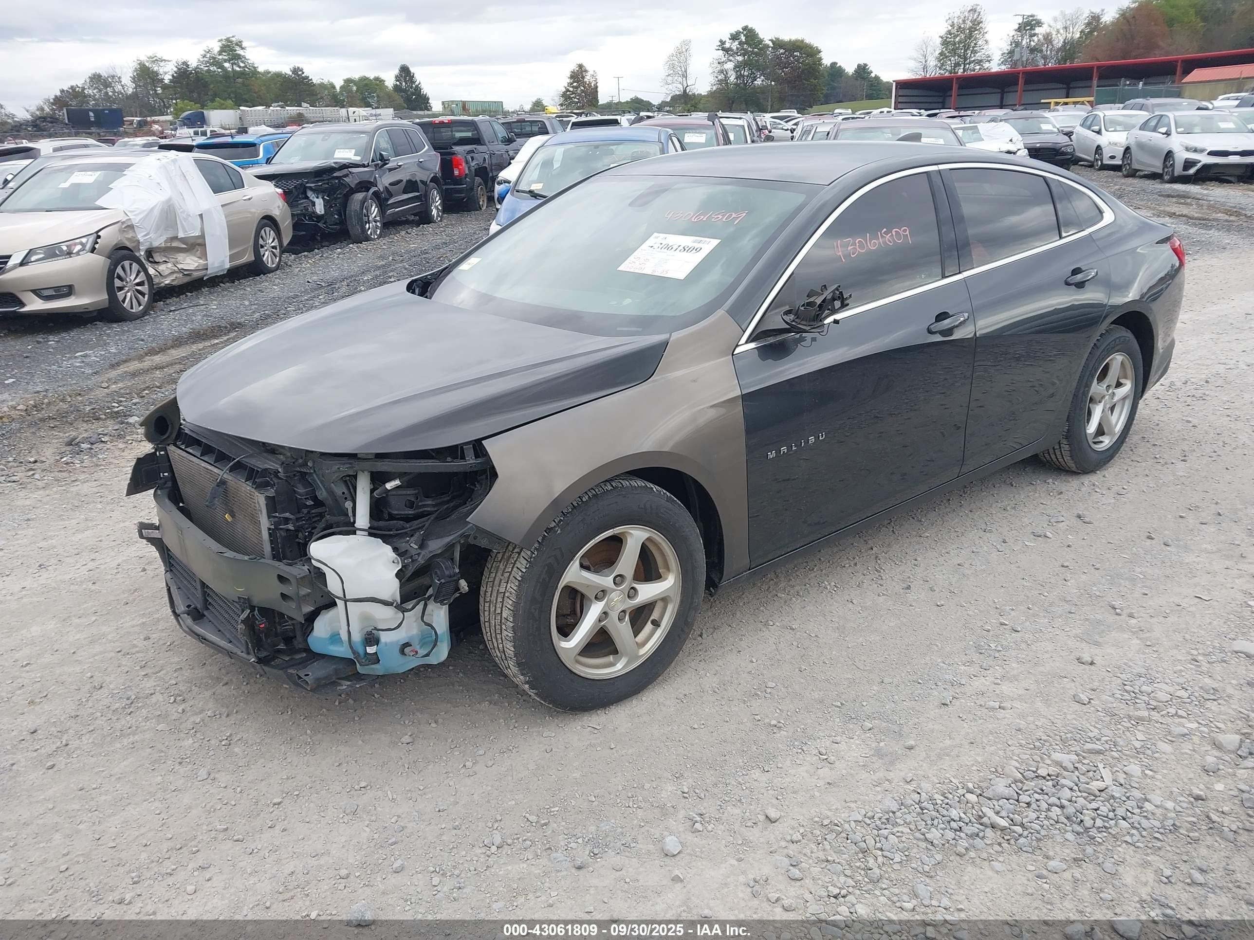 CHEVROLET MALIBU image 2