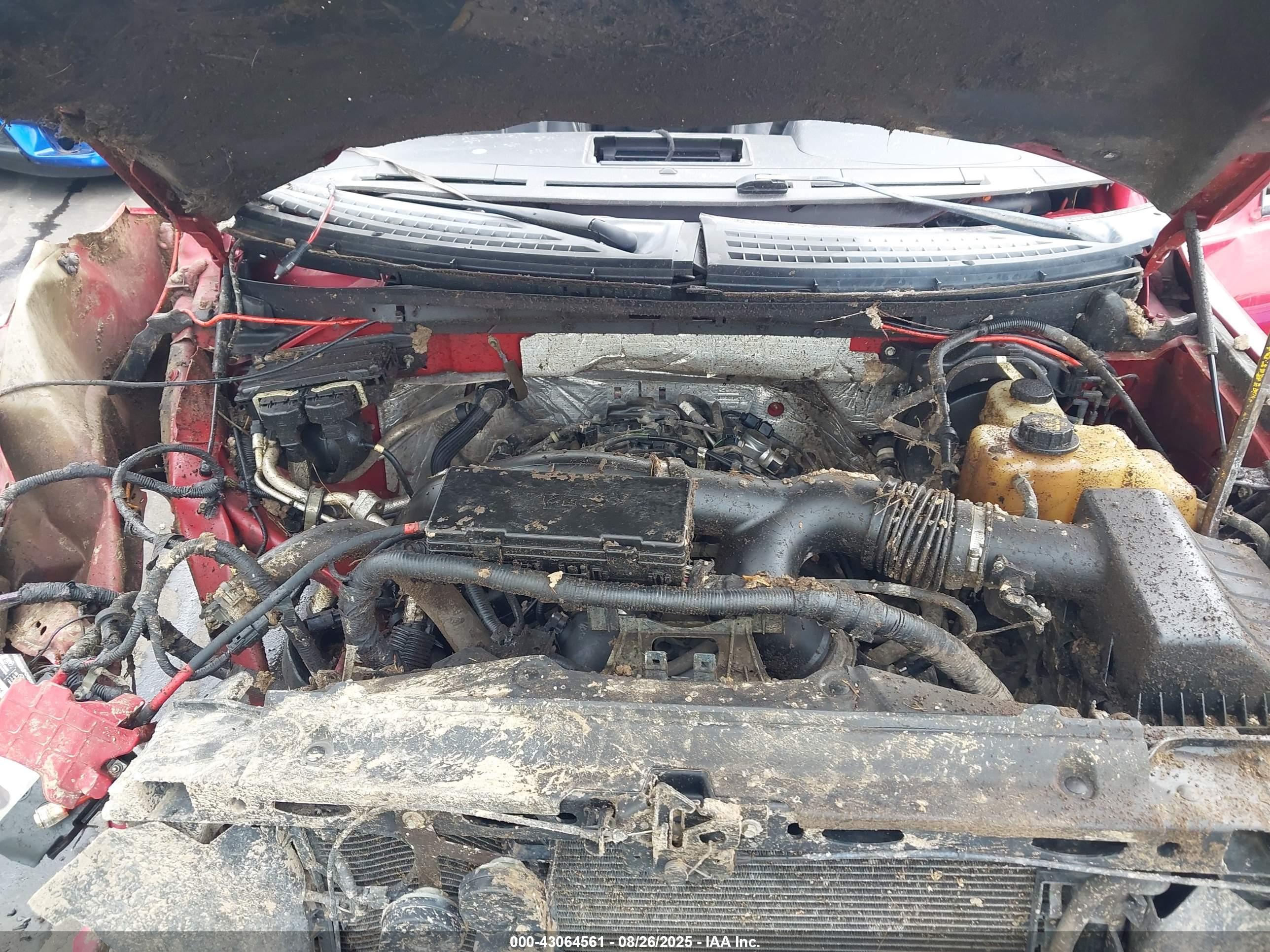 FORD F-150 image 10