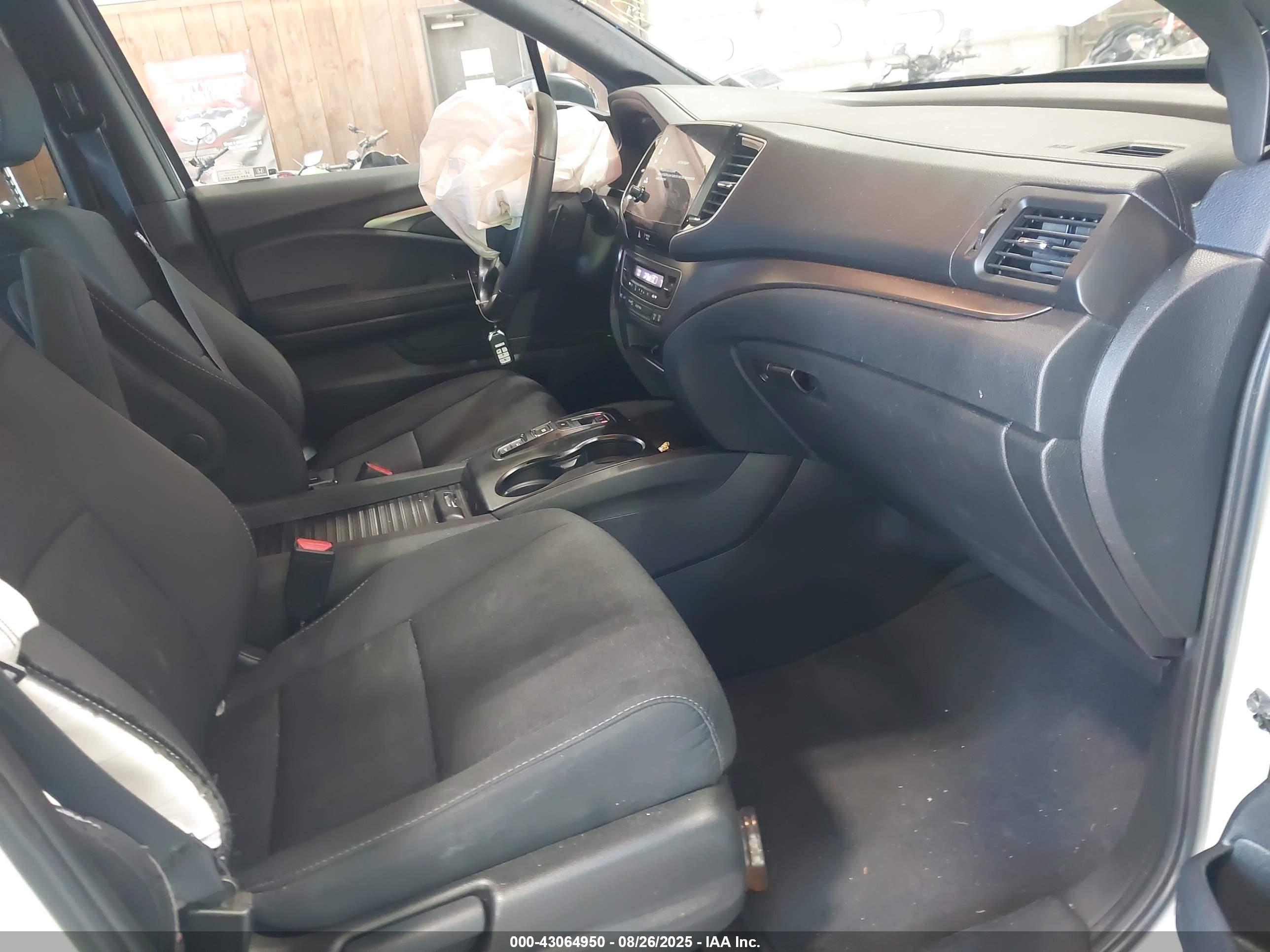 HONDA PASSPORT image 5