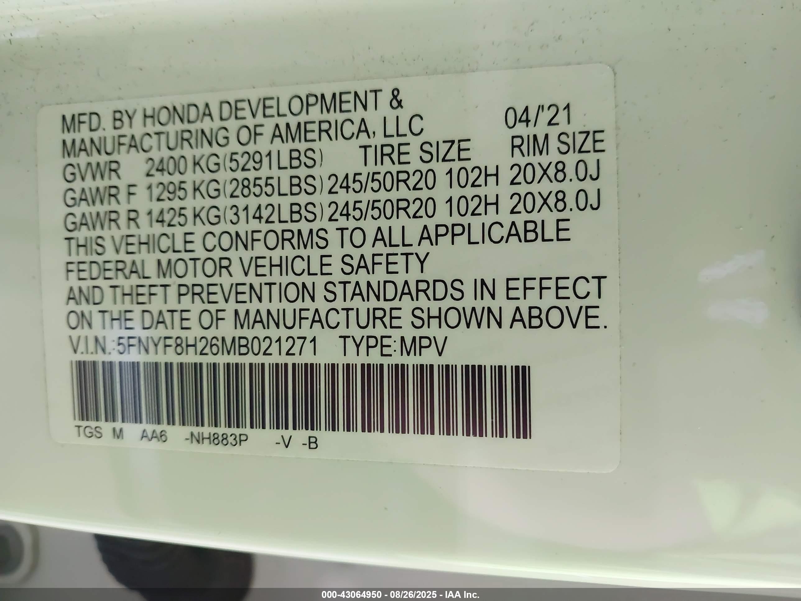 HONDA PASSPORT image 9