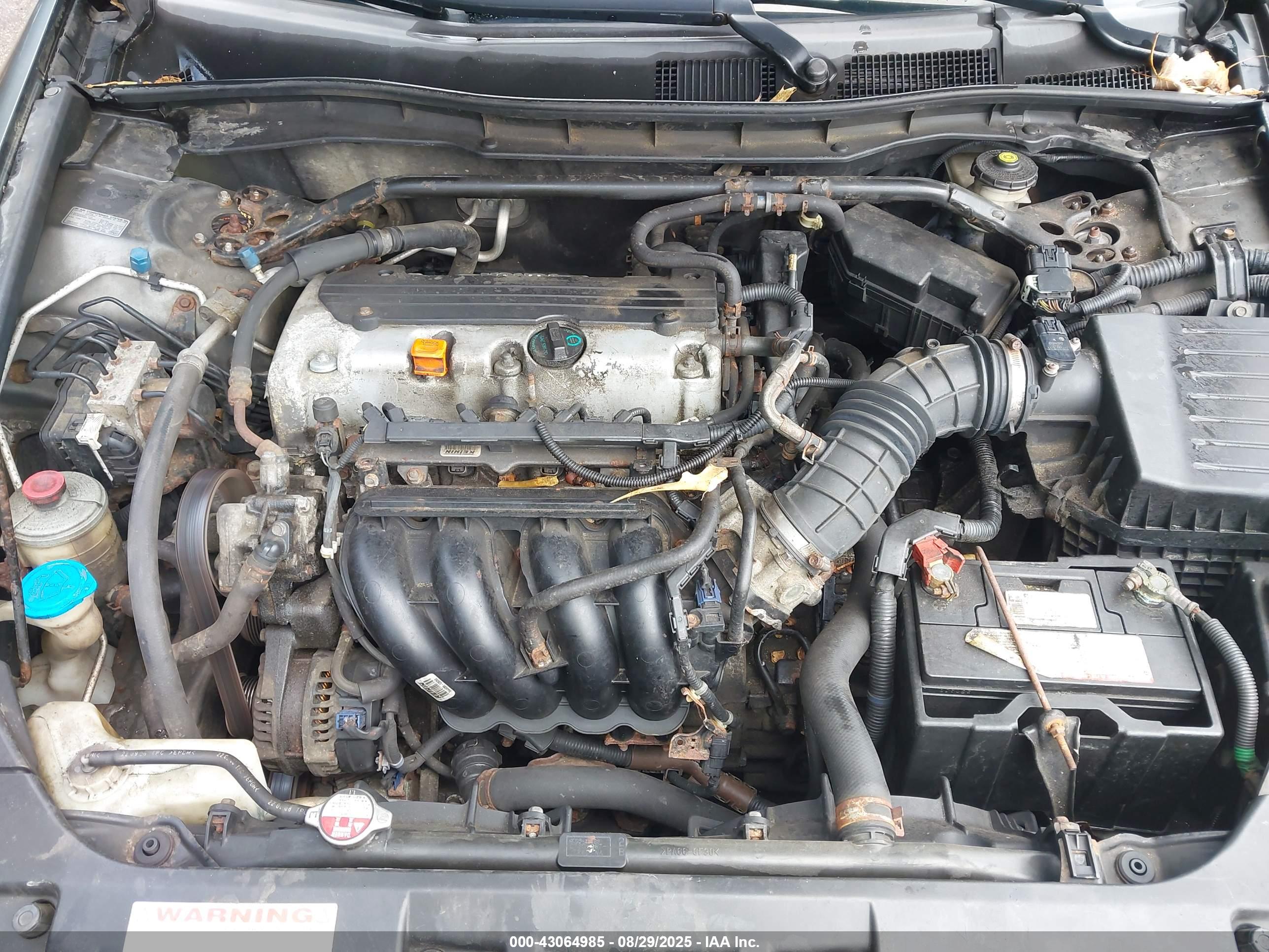 HONDA ACCORD image 10