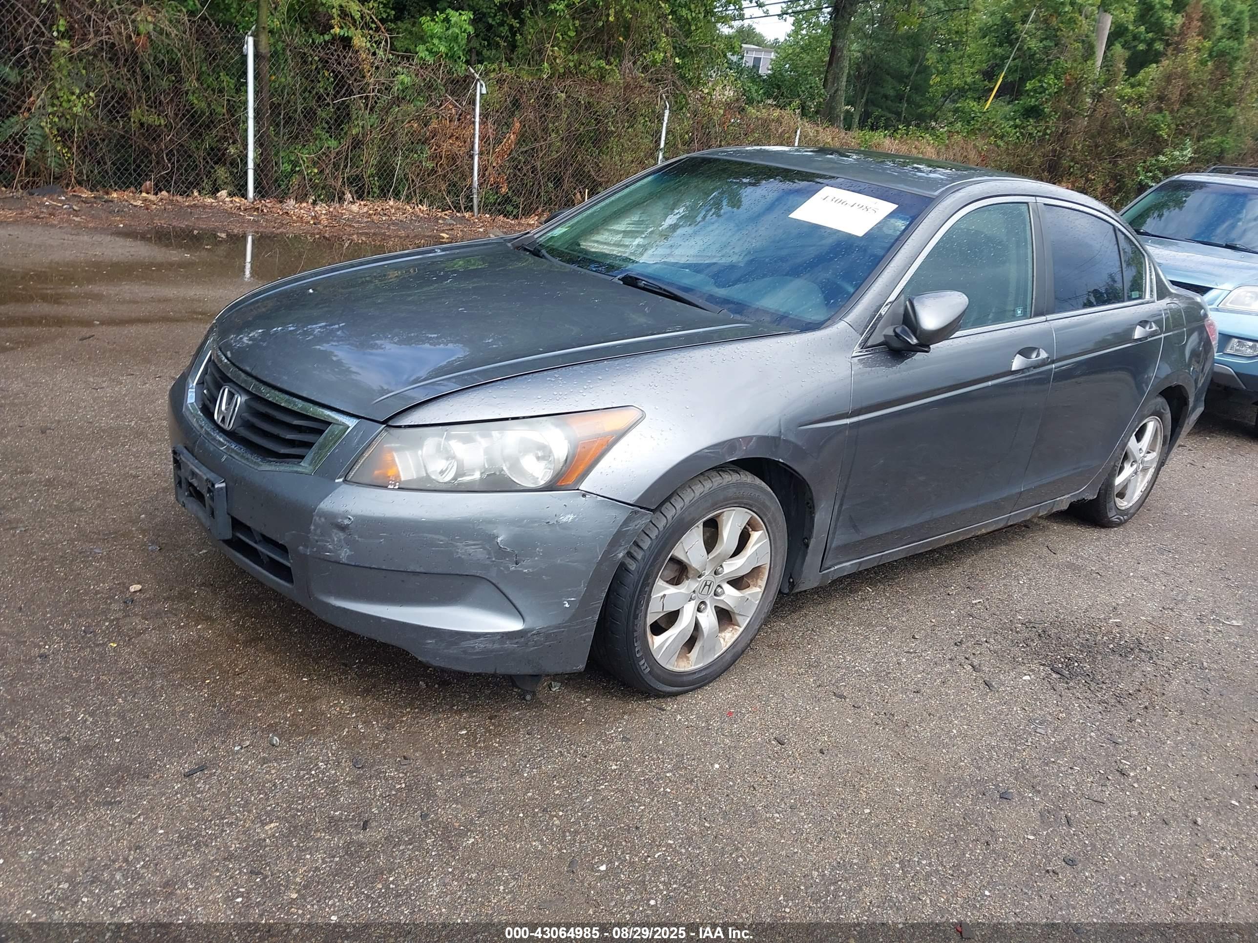 HONDA ACCORD image 2