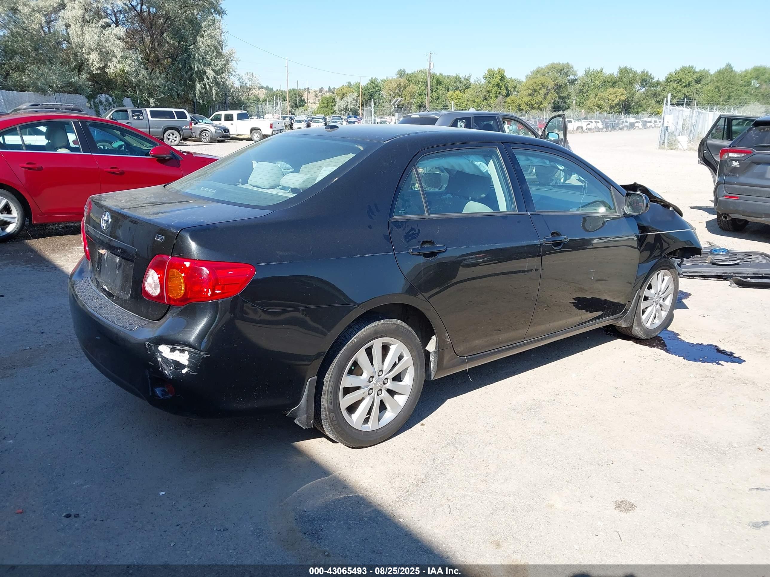 TOYOTA COROLLA image 4