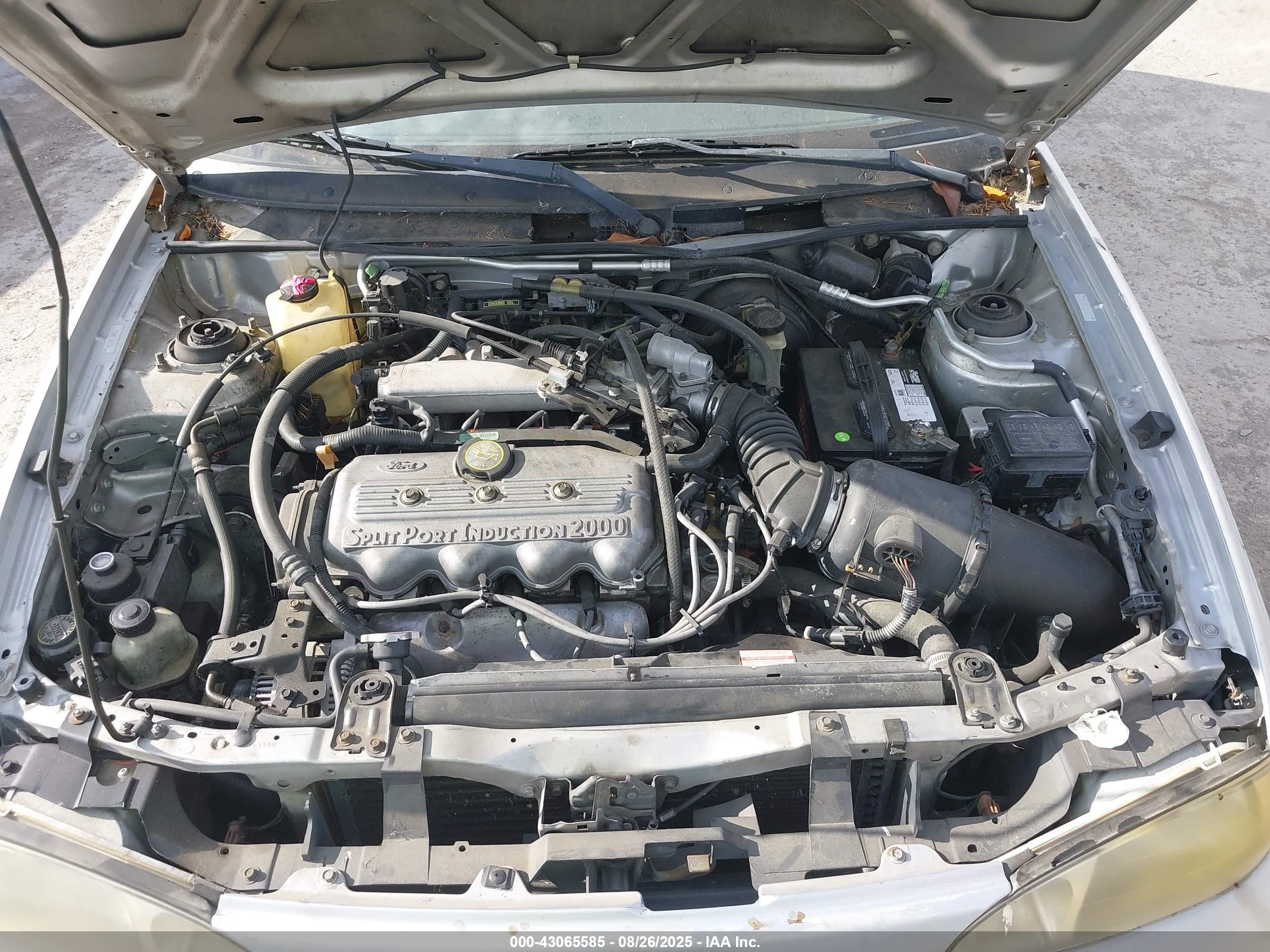 FORD ESCORT image 10