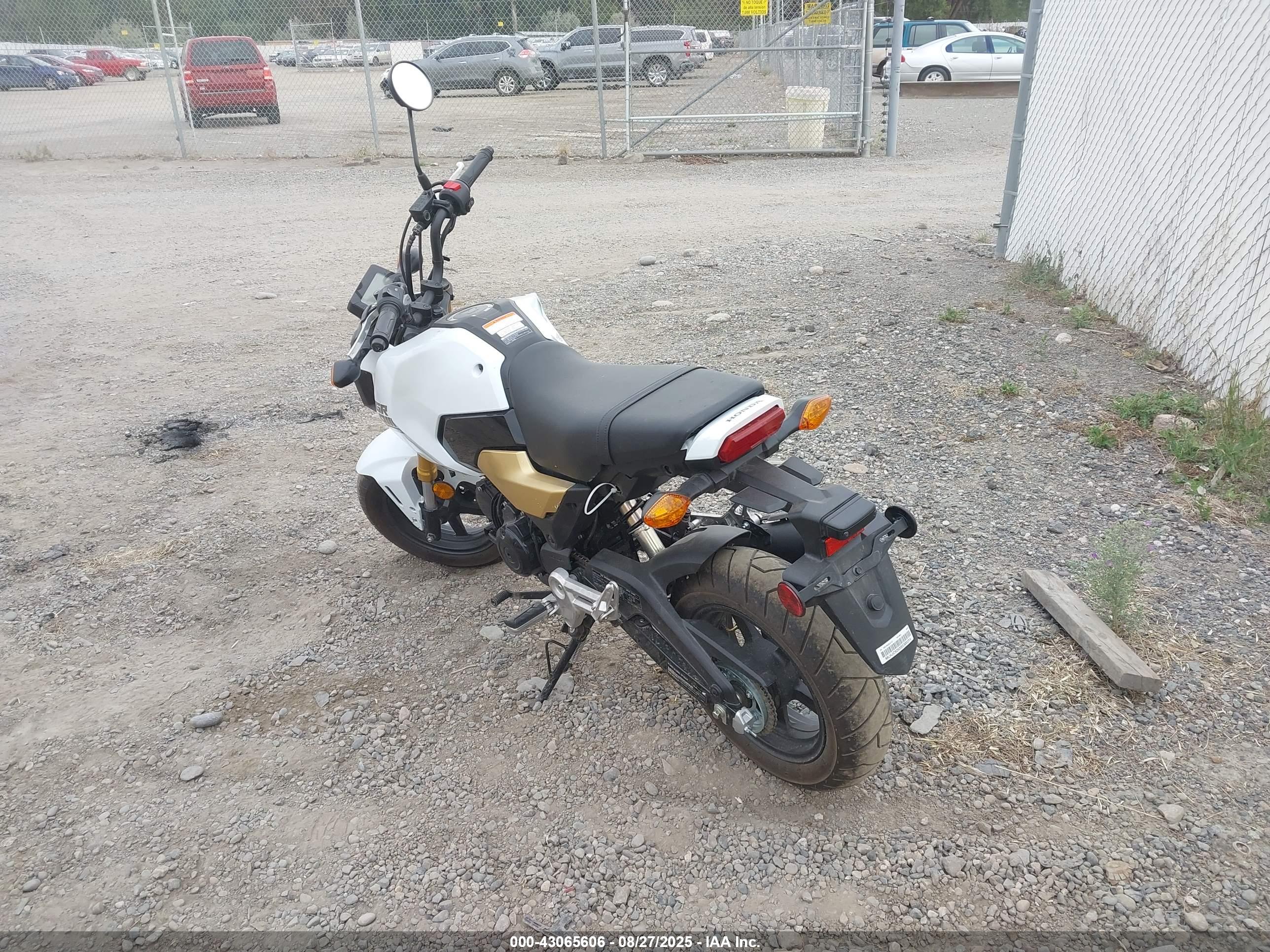 HONDA GROM image 3