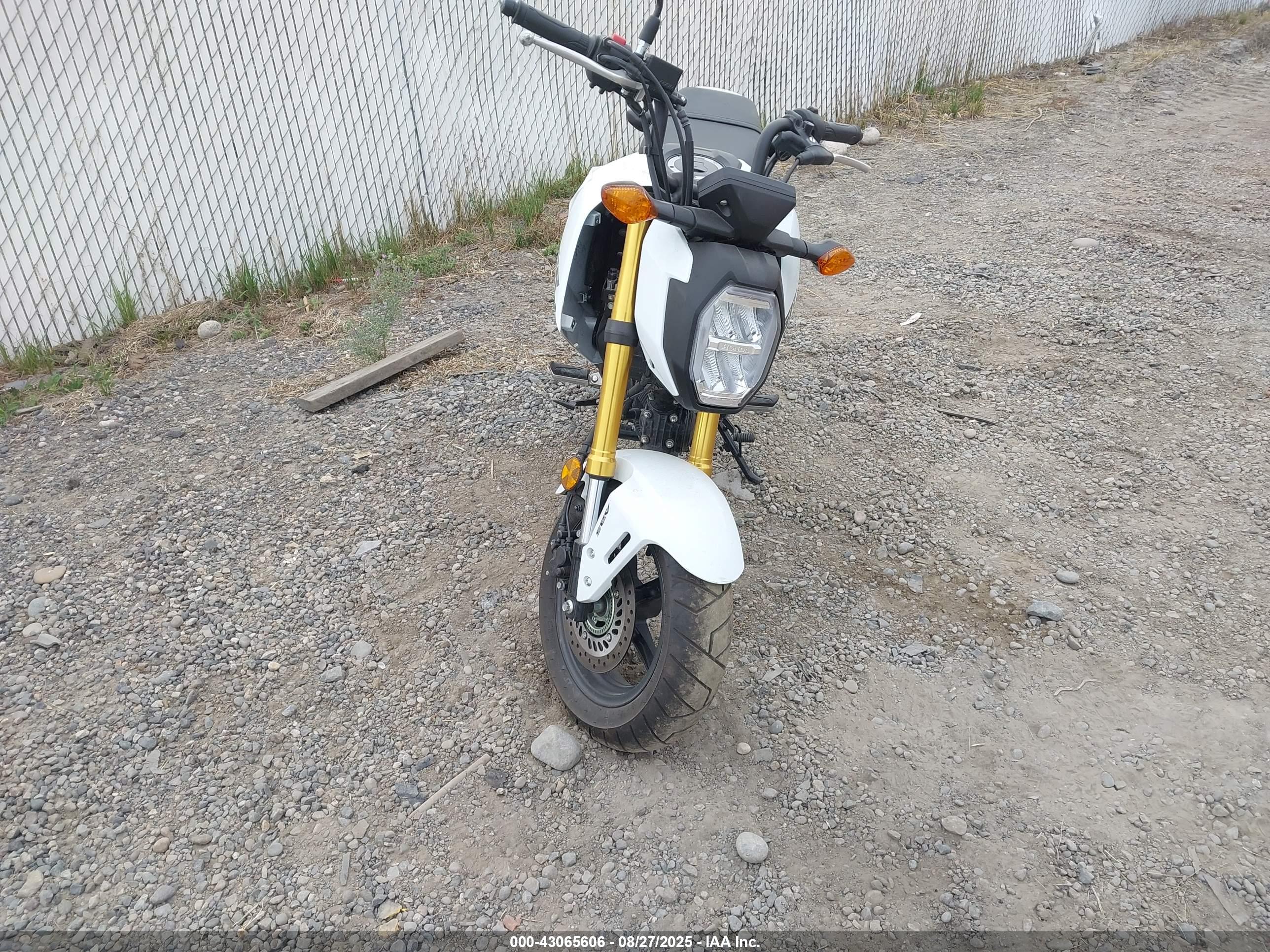 HONDA GROM image 5