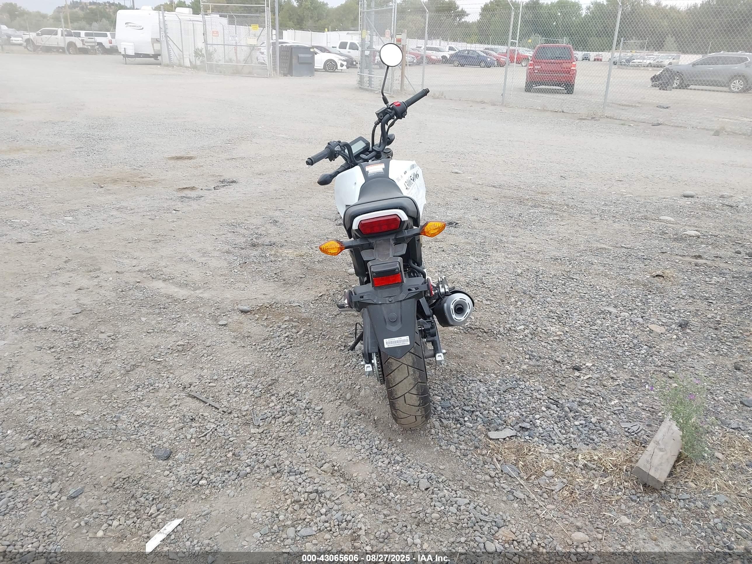 HONDA GROM image 6