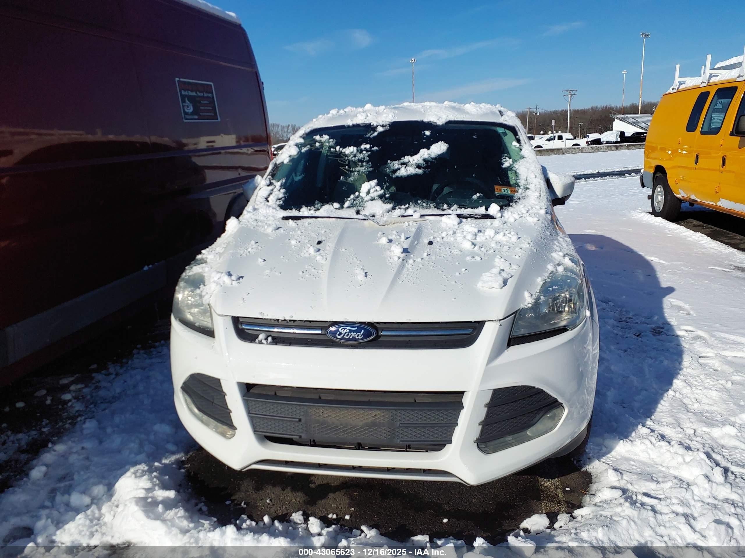 FORD ESCAPE image 6