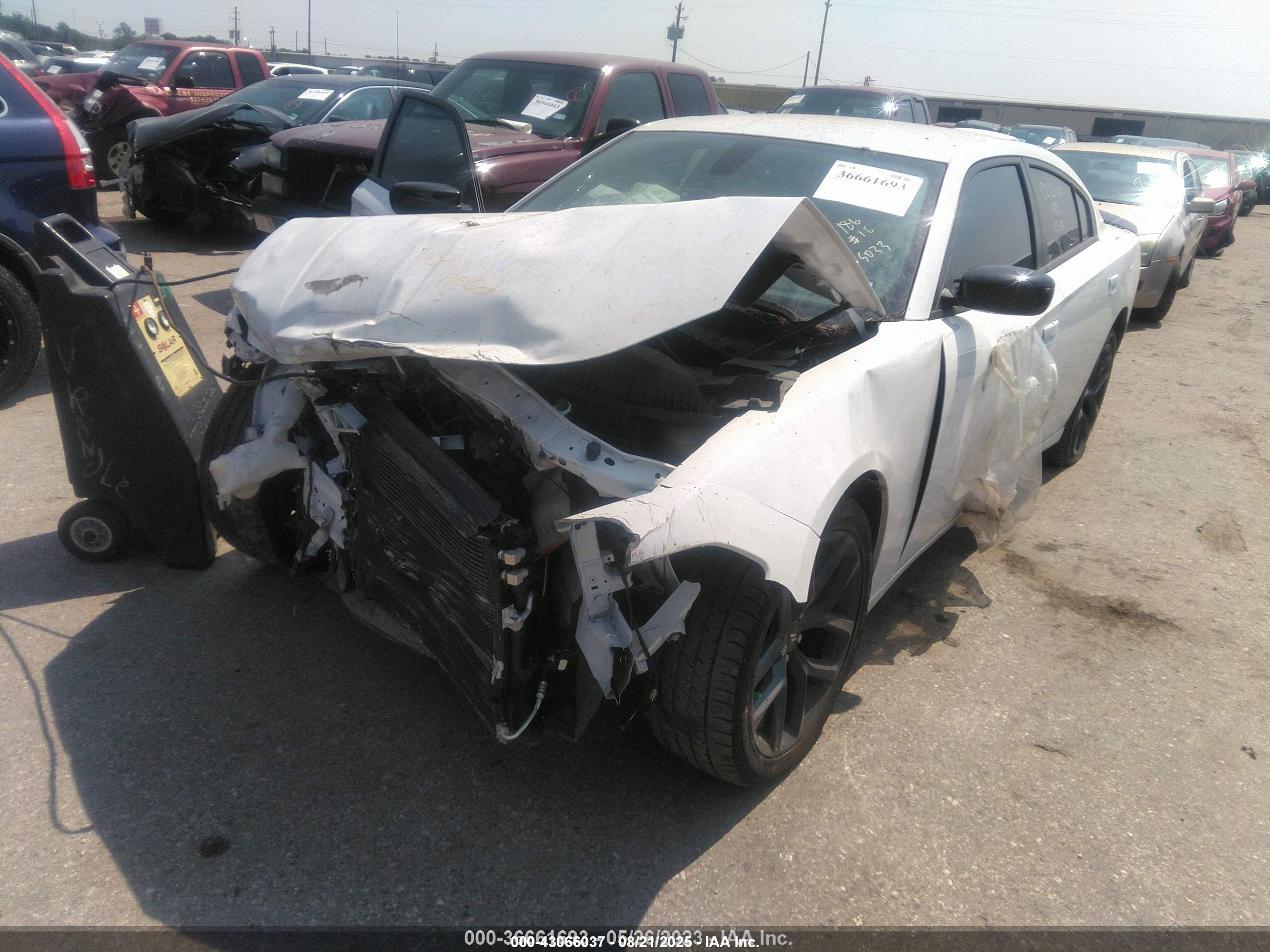 DODGE CHARGER image 2