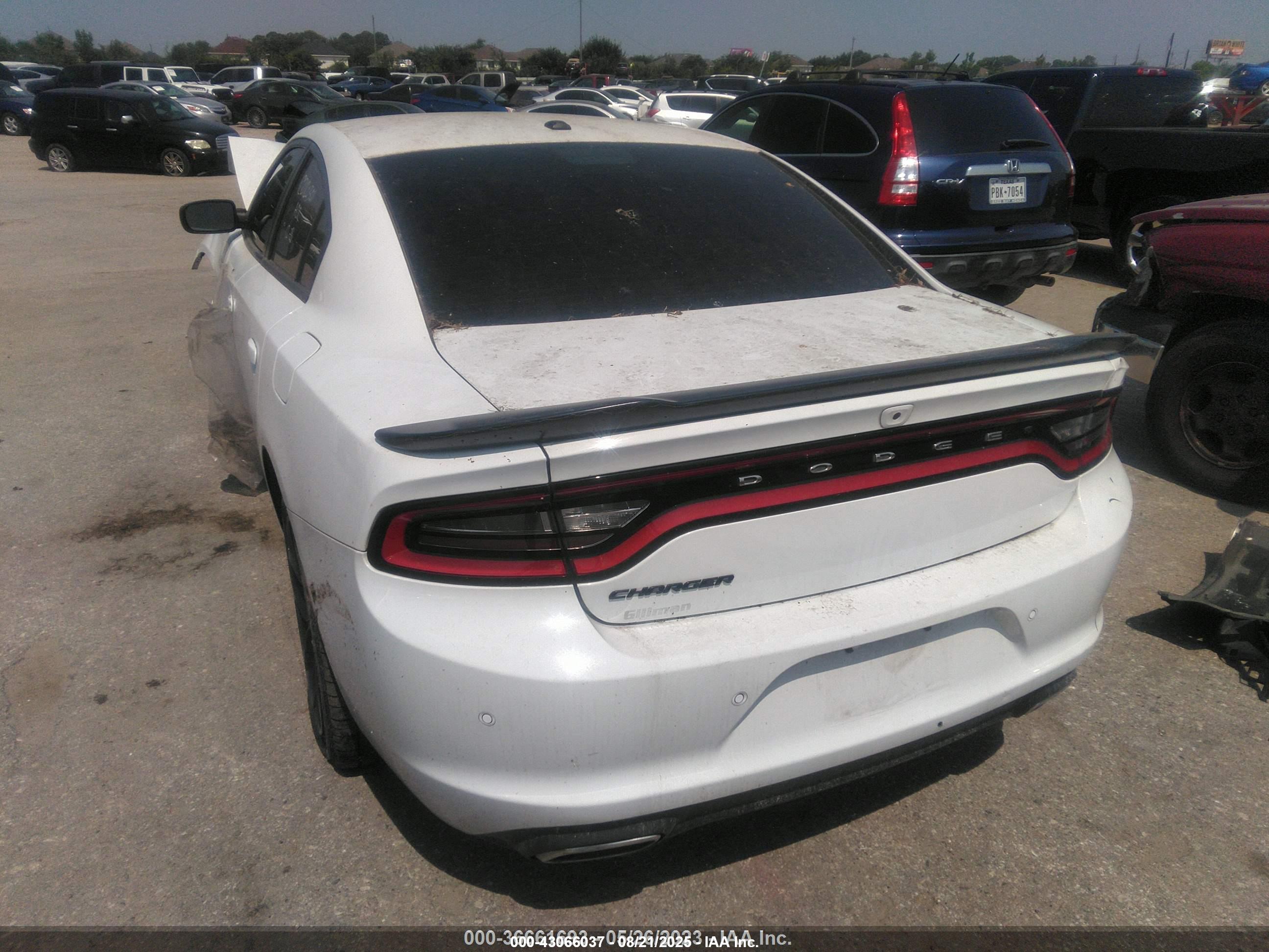DODGE CHARGER image 3