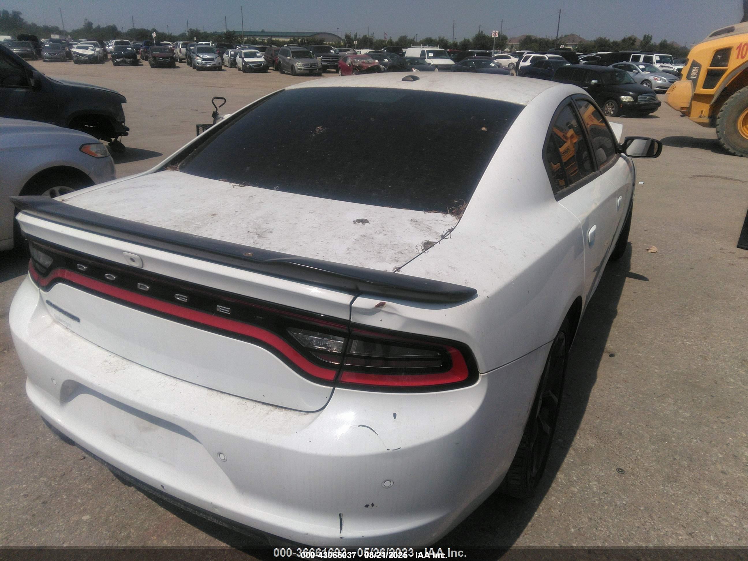 DODGE CHARGER image 4