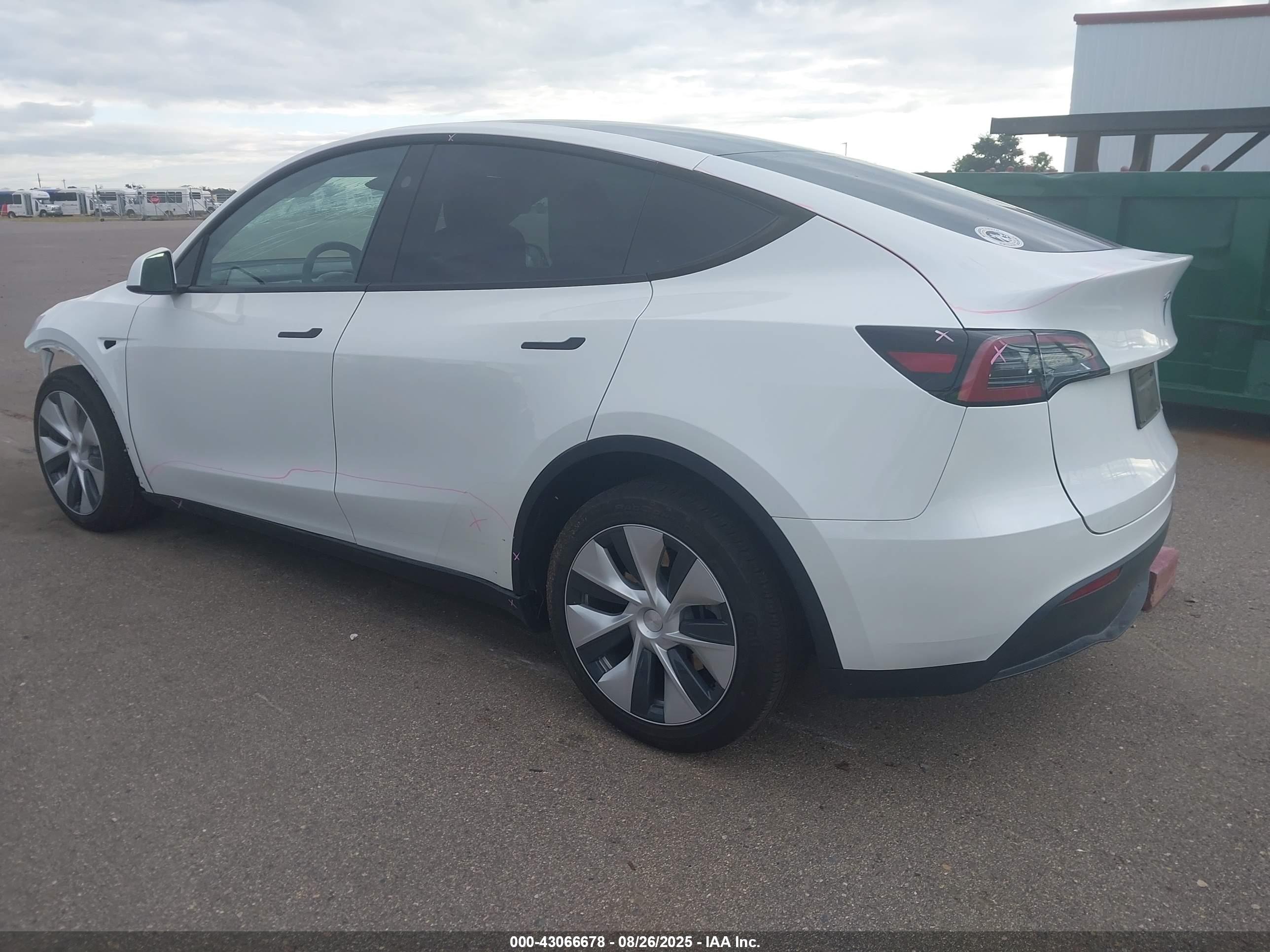 TESLA MODEL image 3