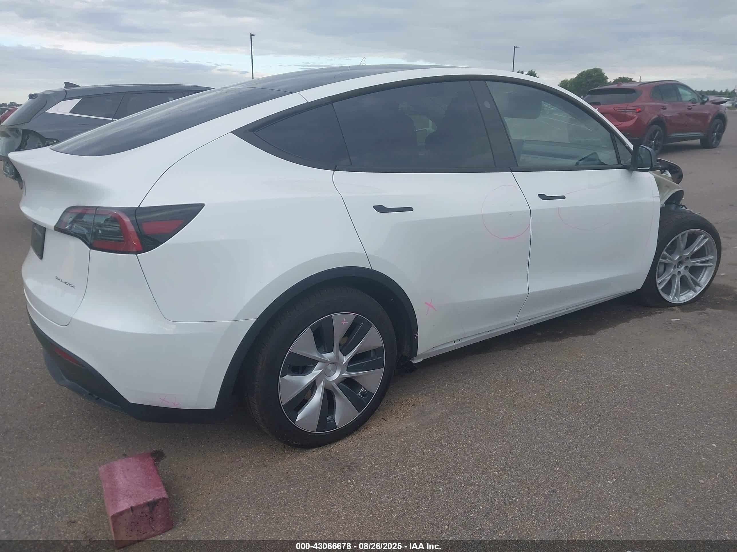 TESLA MODEL image 4