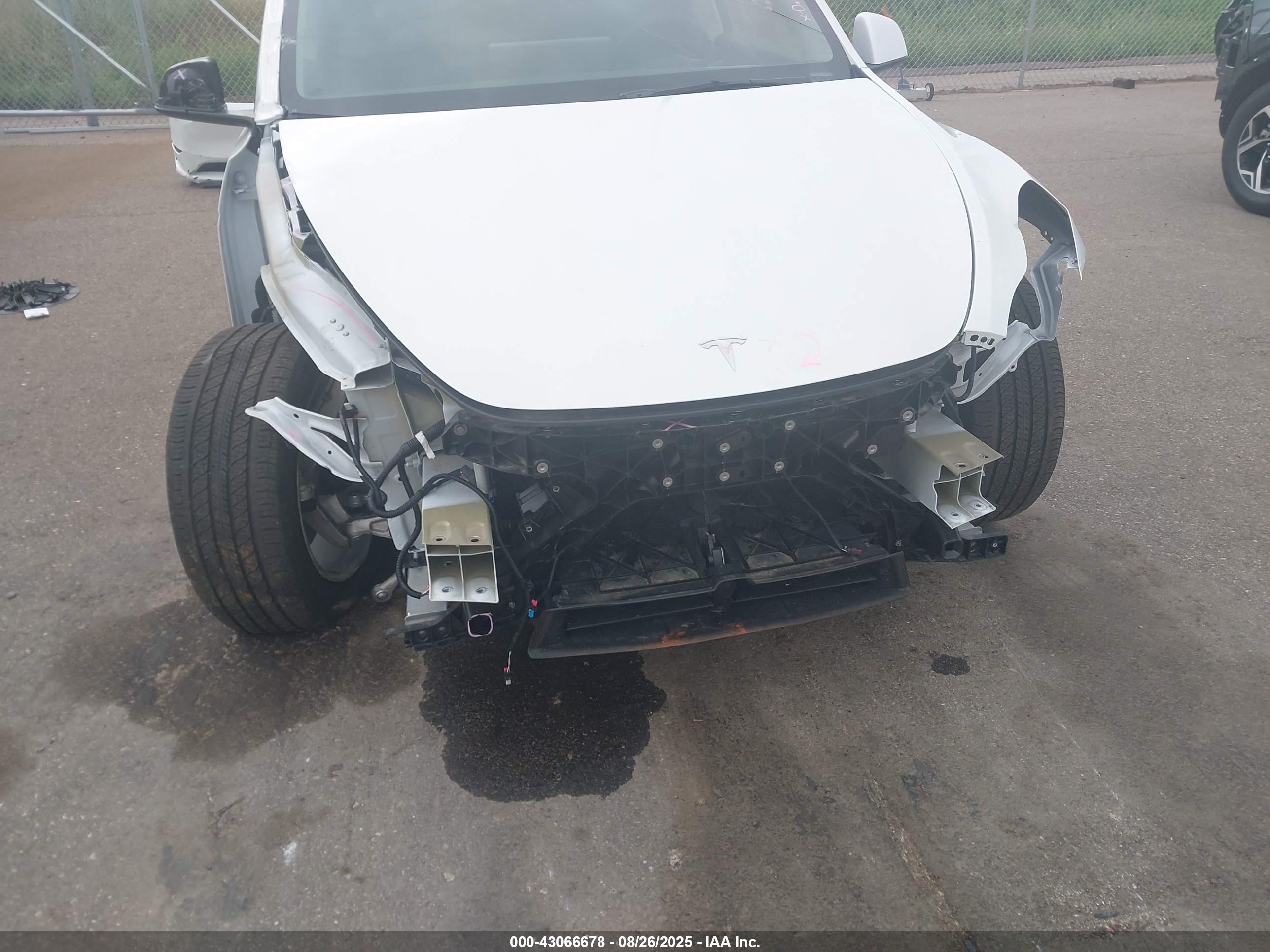 TESLA MODEL image 6