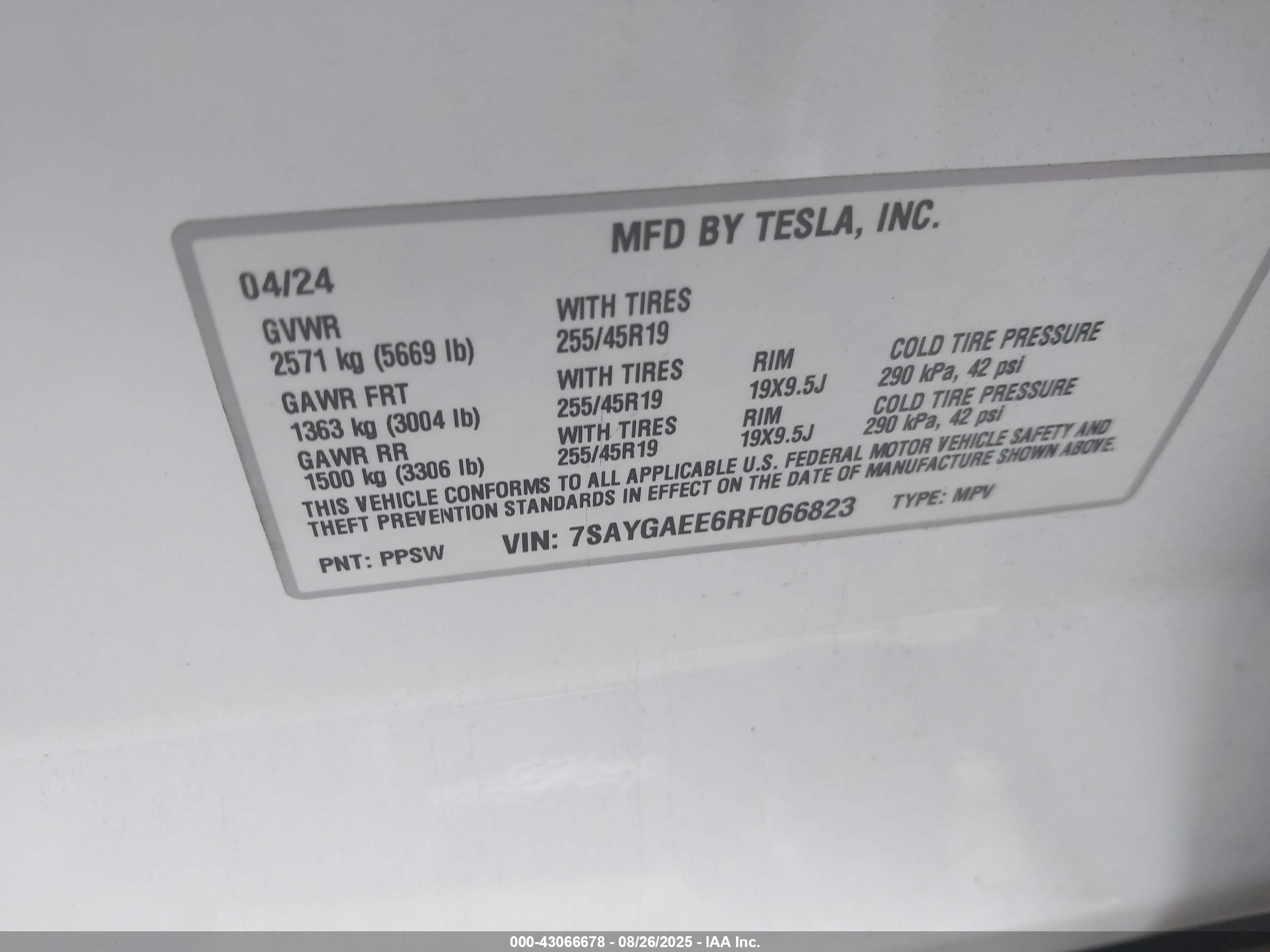 TESLA MODEL image 9