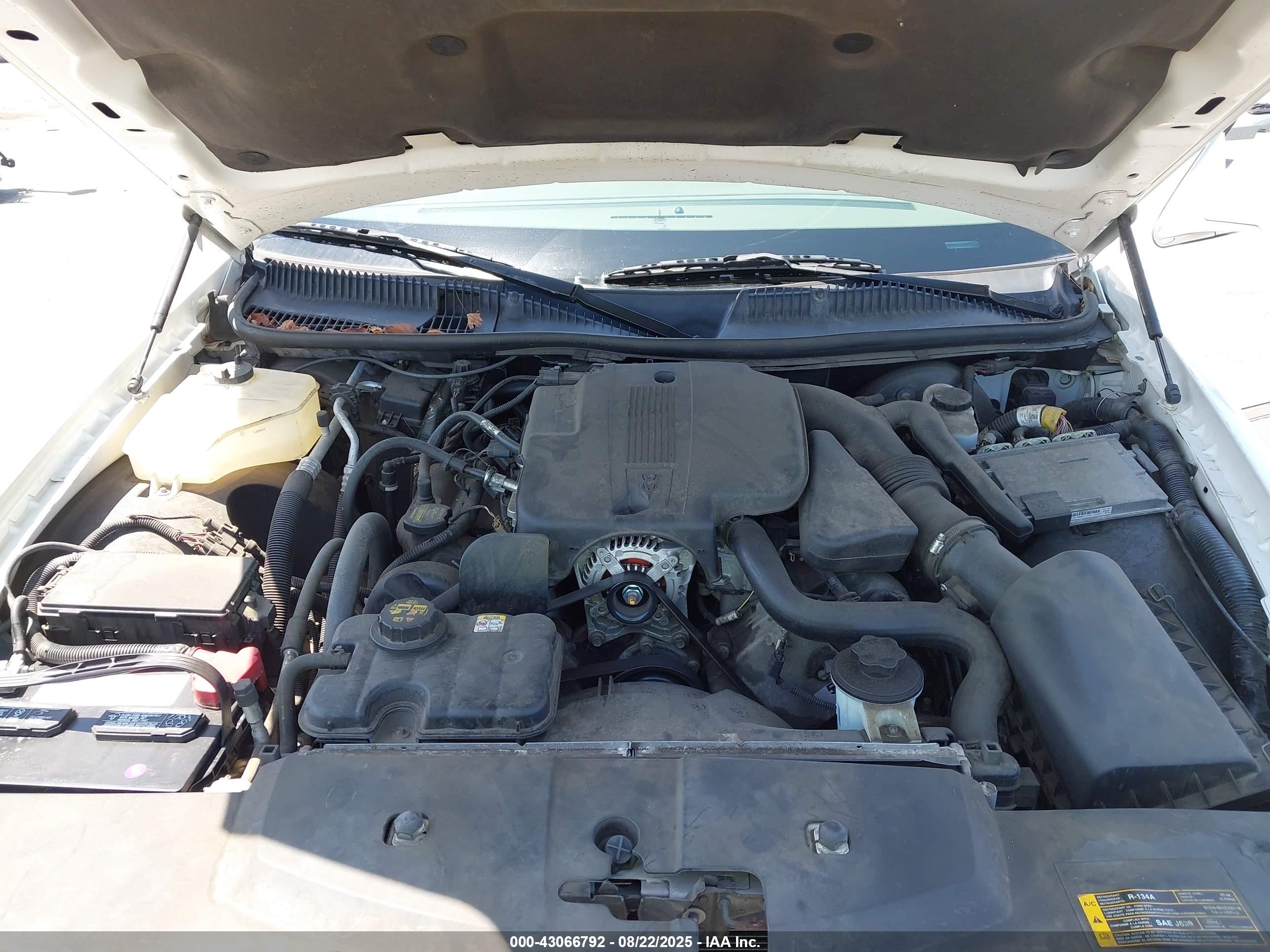 LINCOLN TOWN image 10