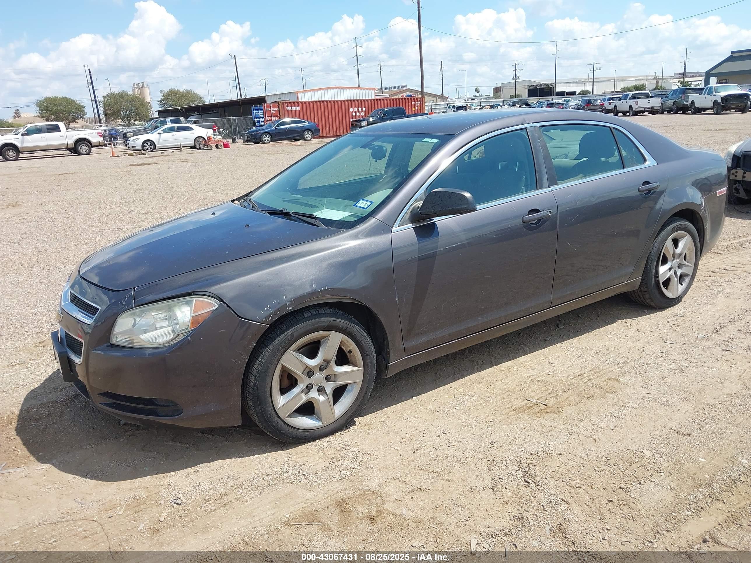 CHEVROLET MALIBU image 2