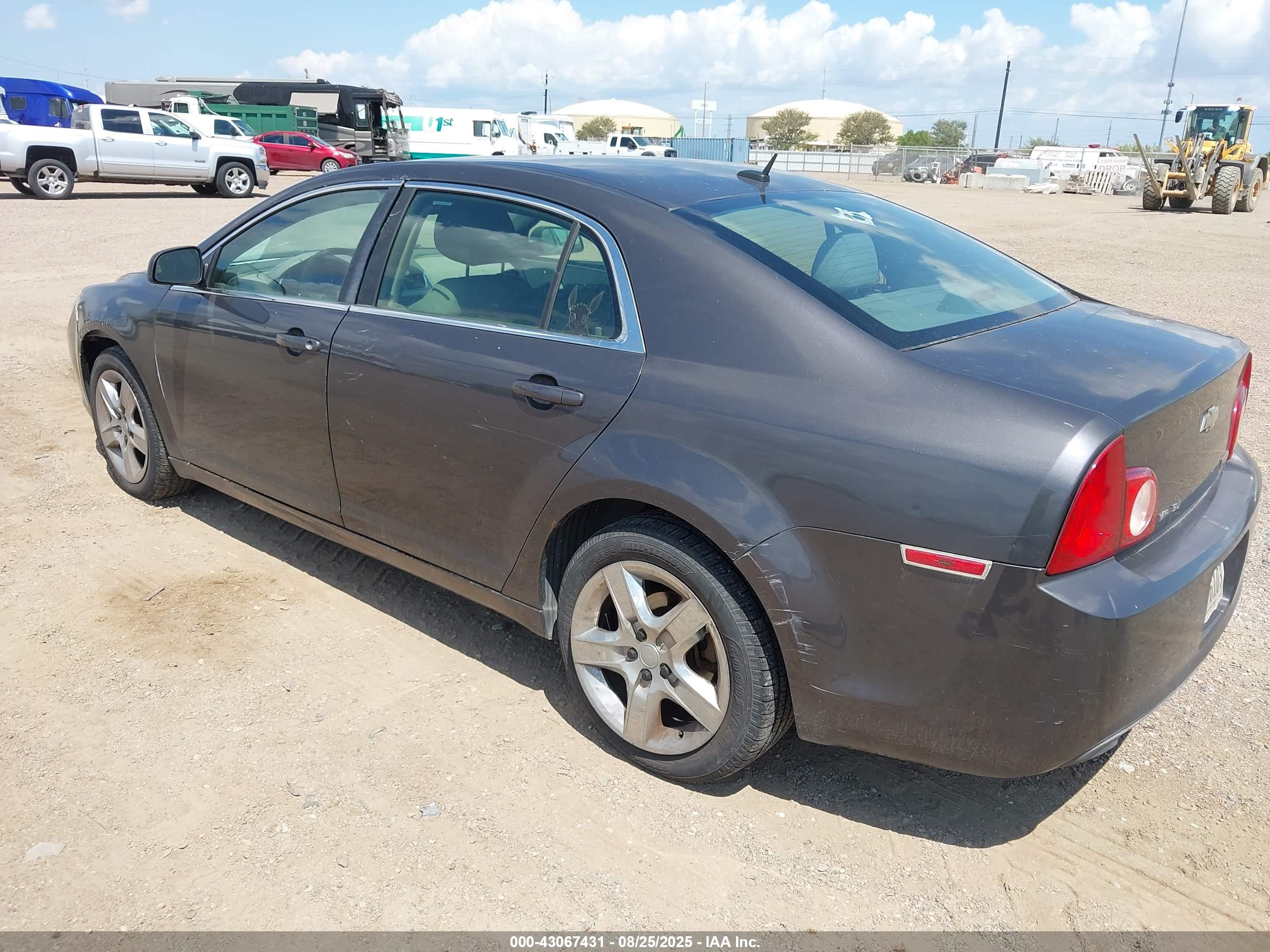 CHEVROLET MALIBU image 3