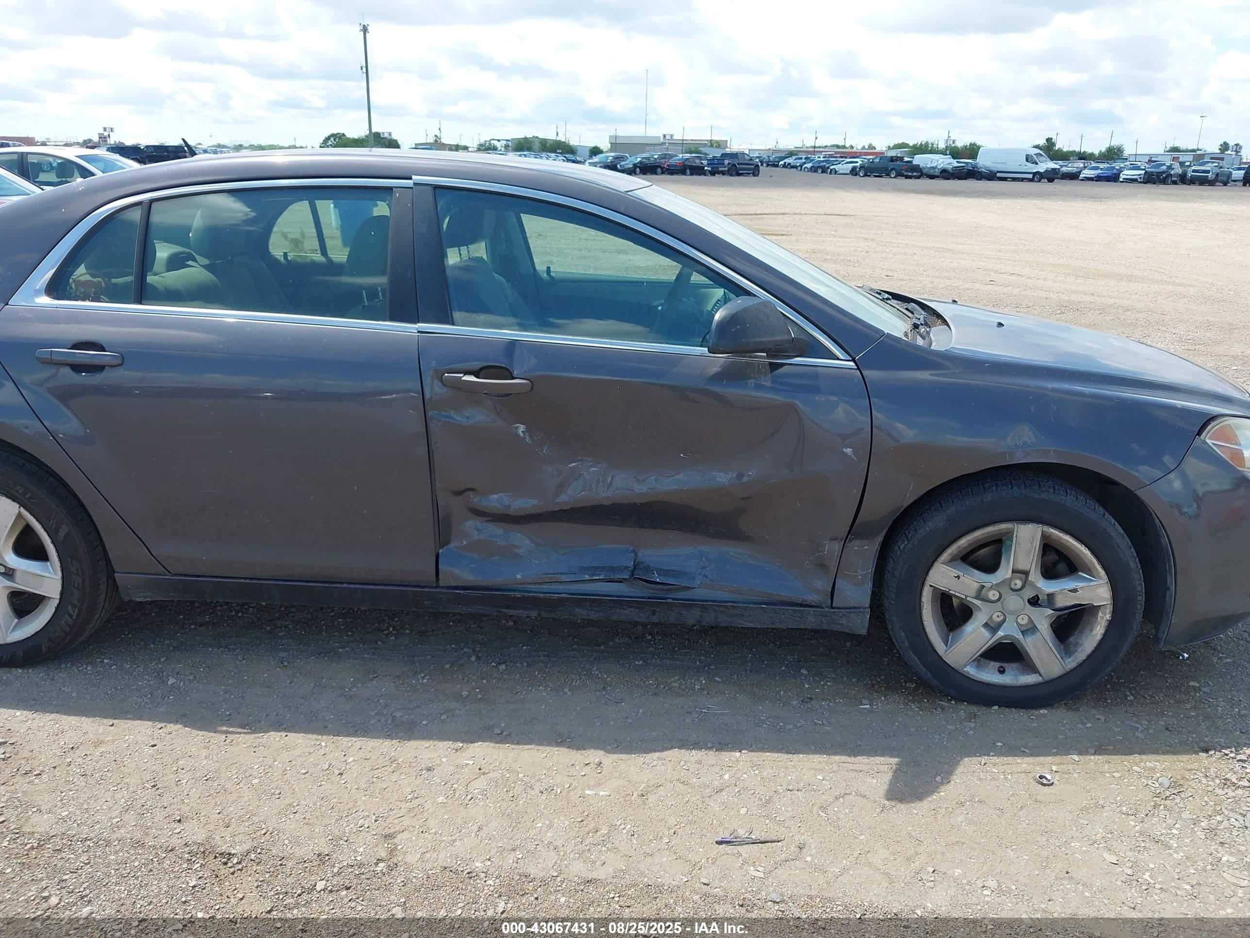 CHEVROLET MALIBU image 6