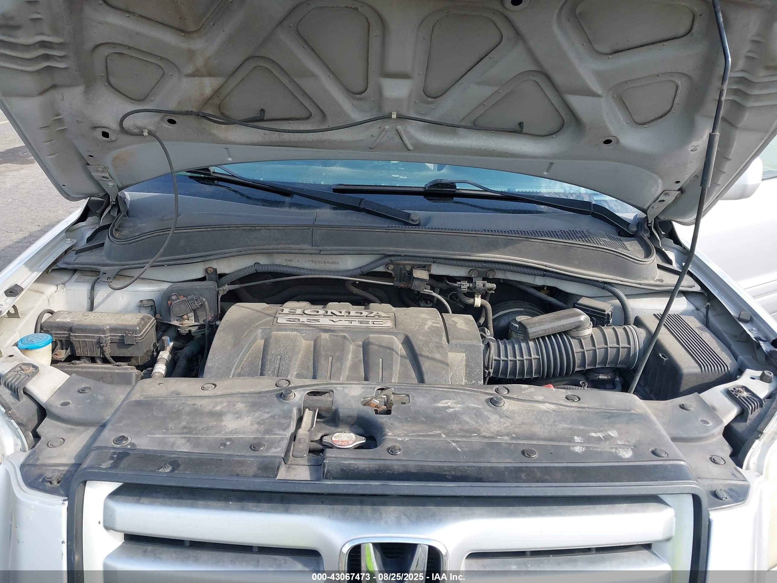 HONDA PILOT image 10