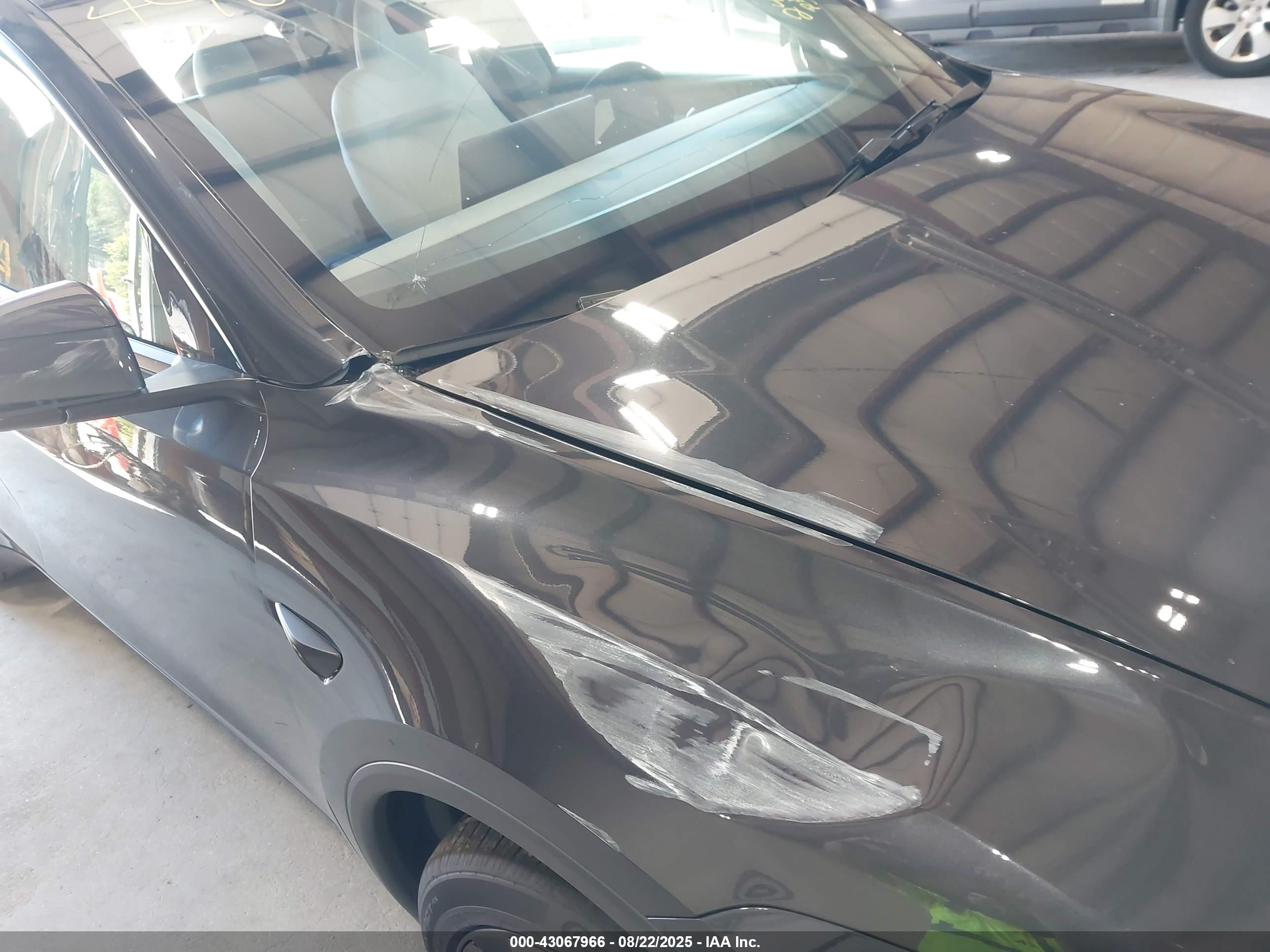 TESLA MODEL image 6