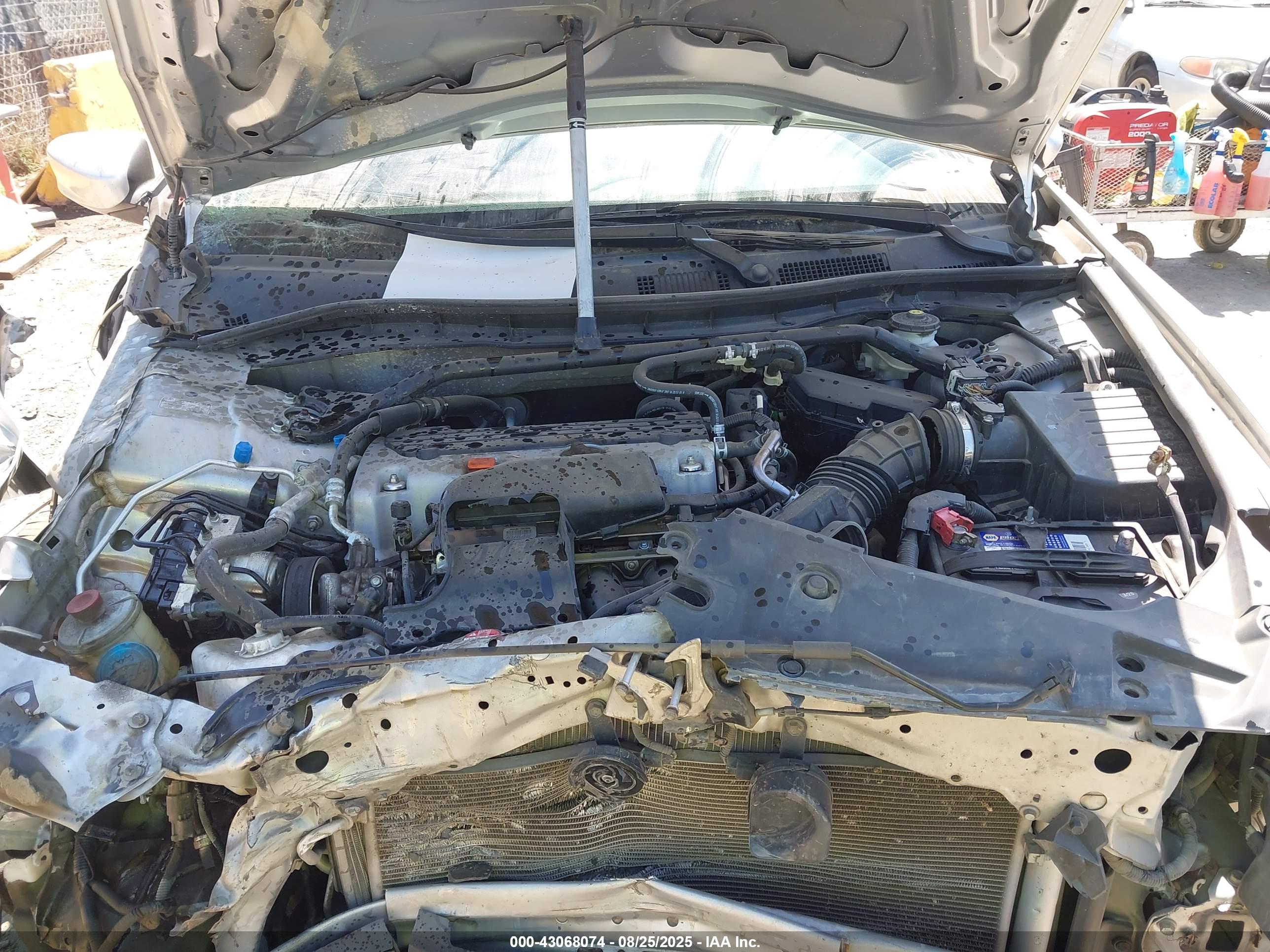 HONDA ACCORD image 10