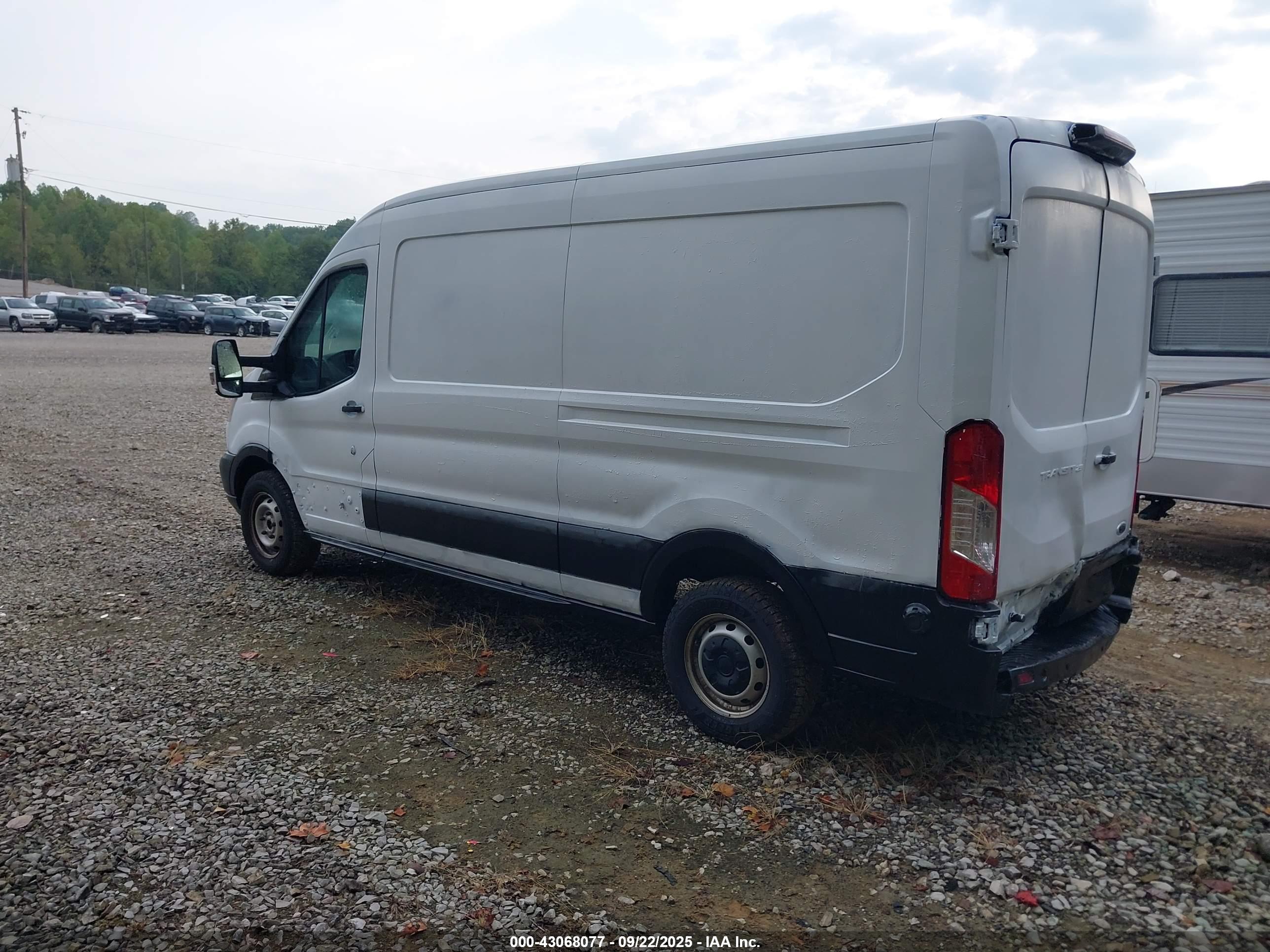 FORD TRANSIT-250 image 3