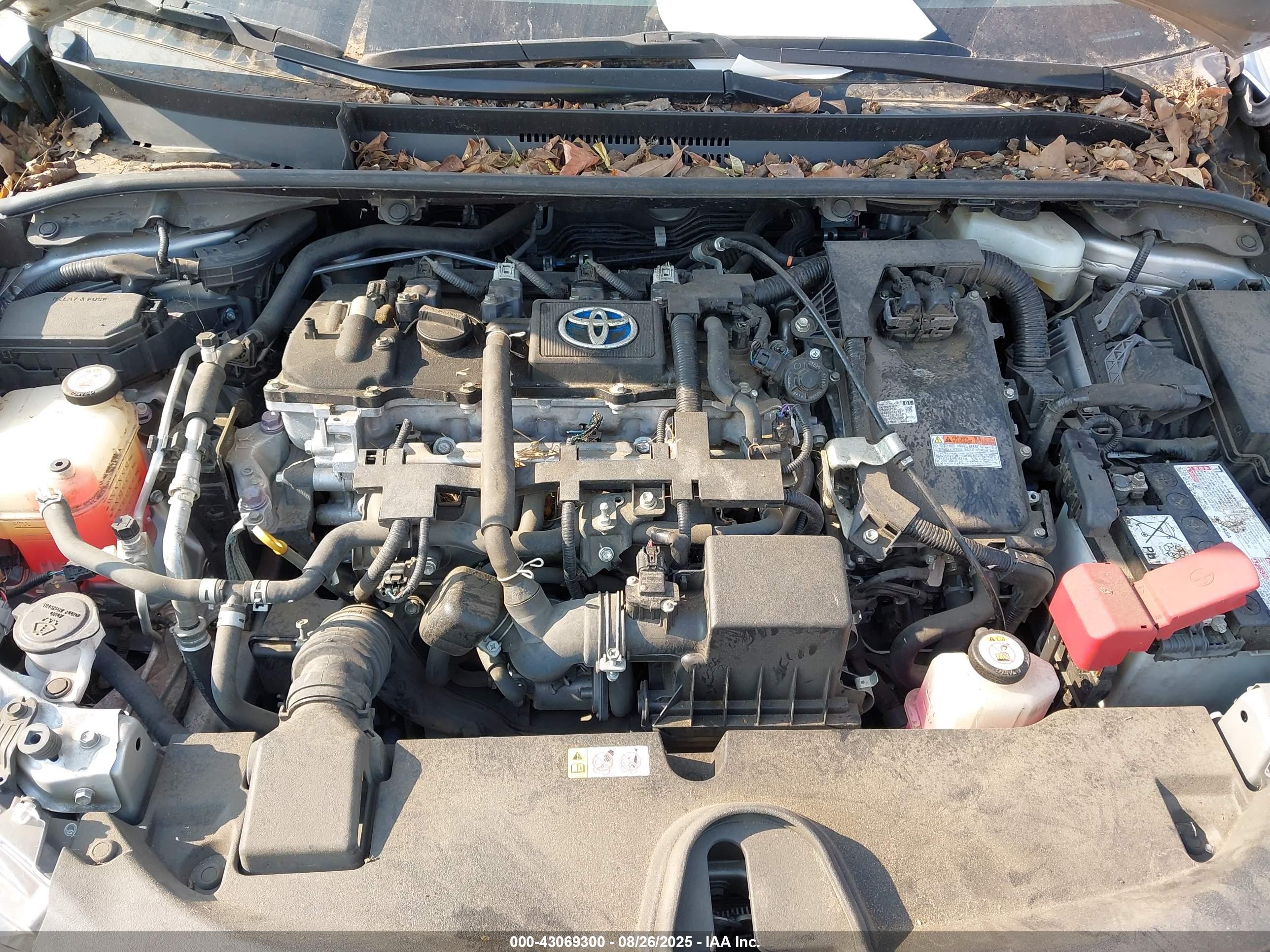 TOYOTA COROLLA image 10