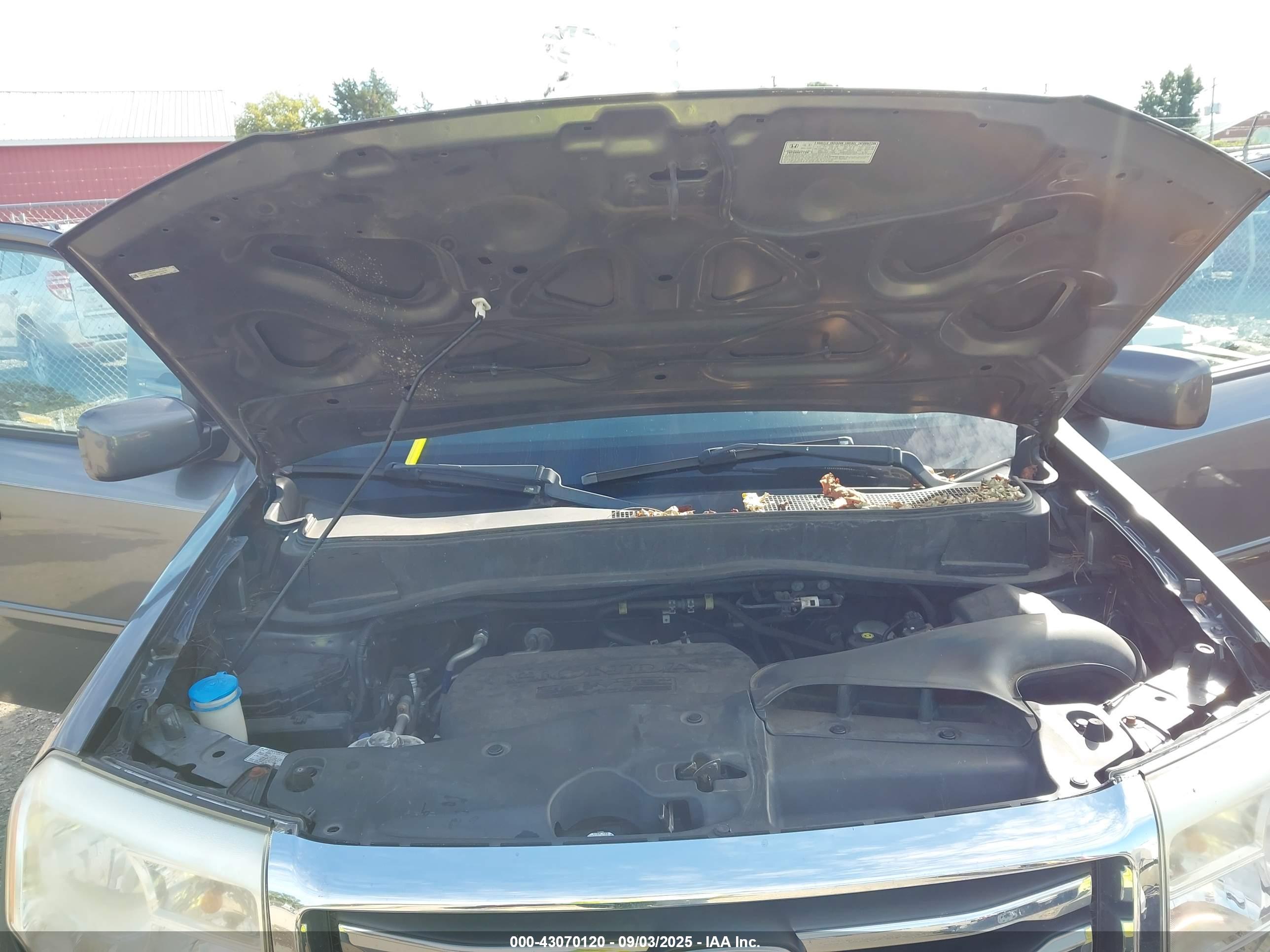 HONDA PILOT image 10