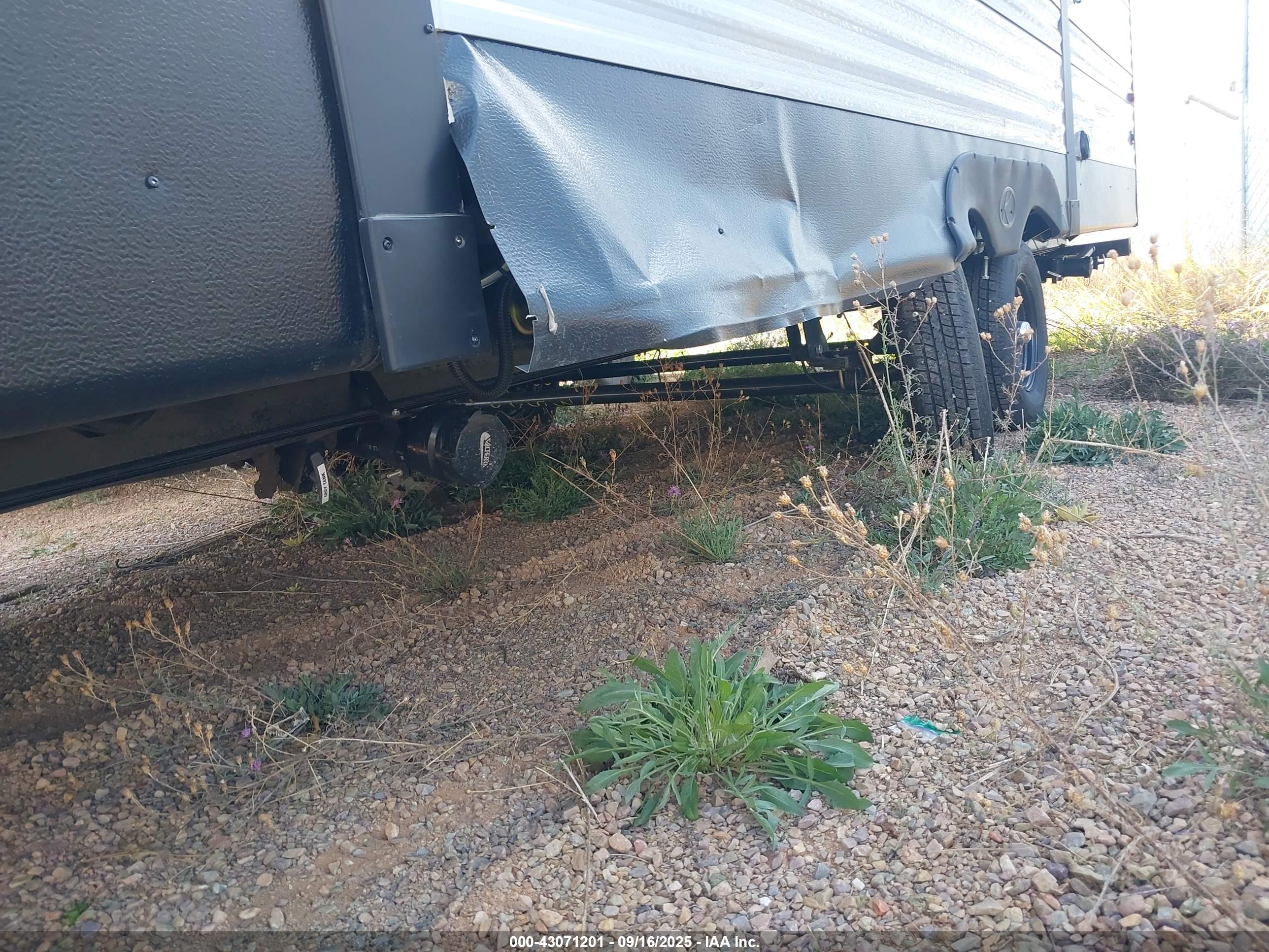 SPRINGDALE OTHER image 6