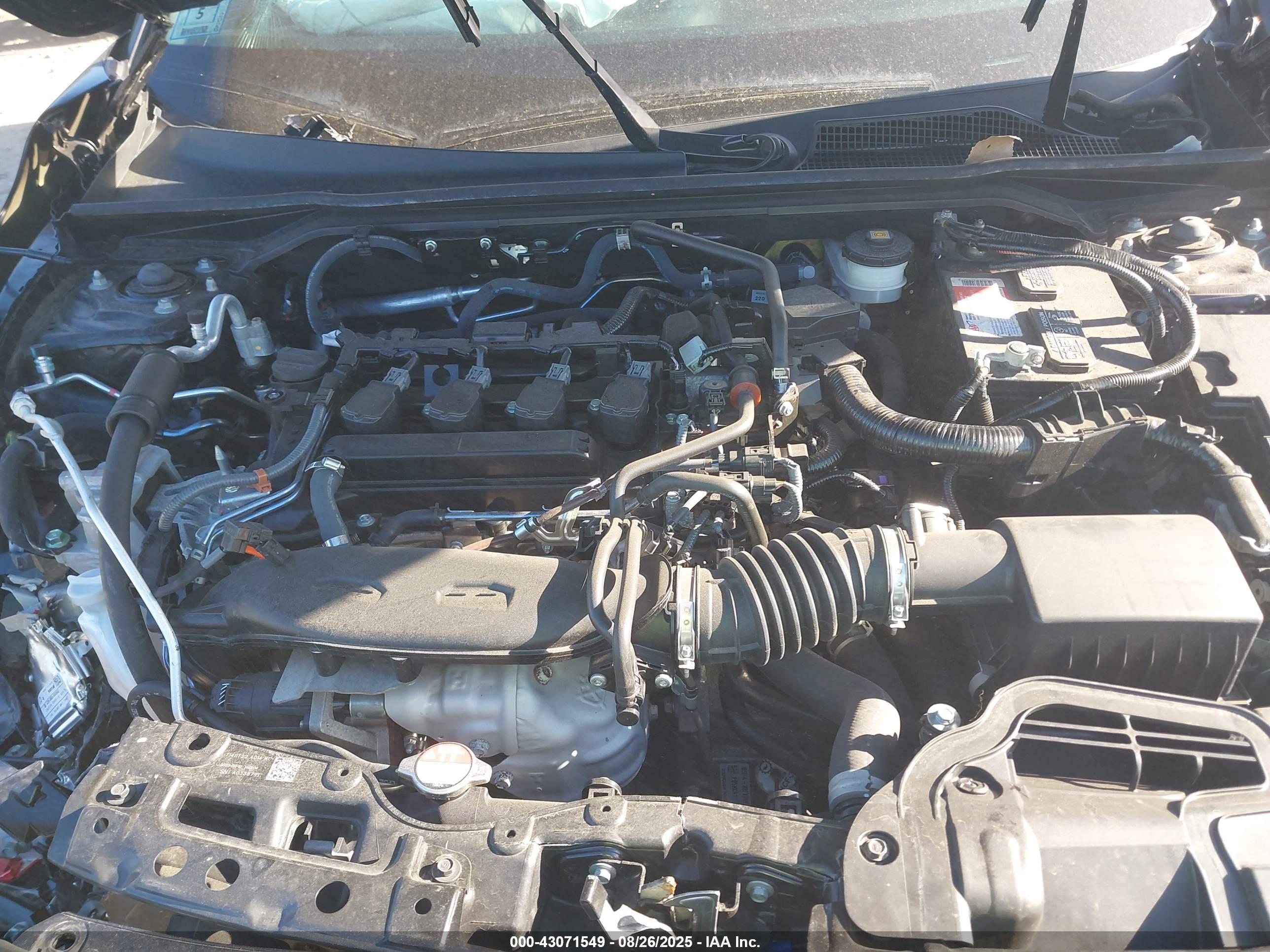 HONDA CIVIC image 10
