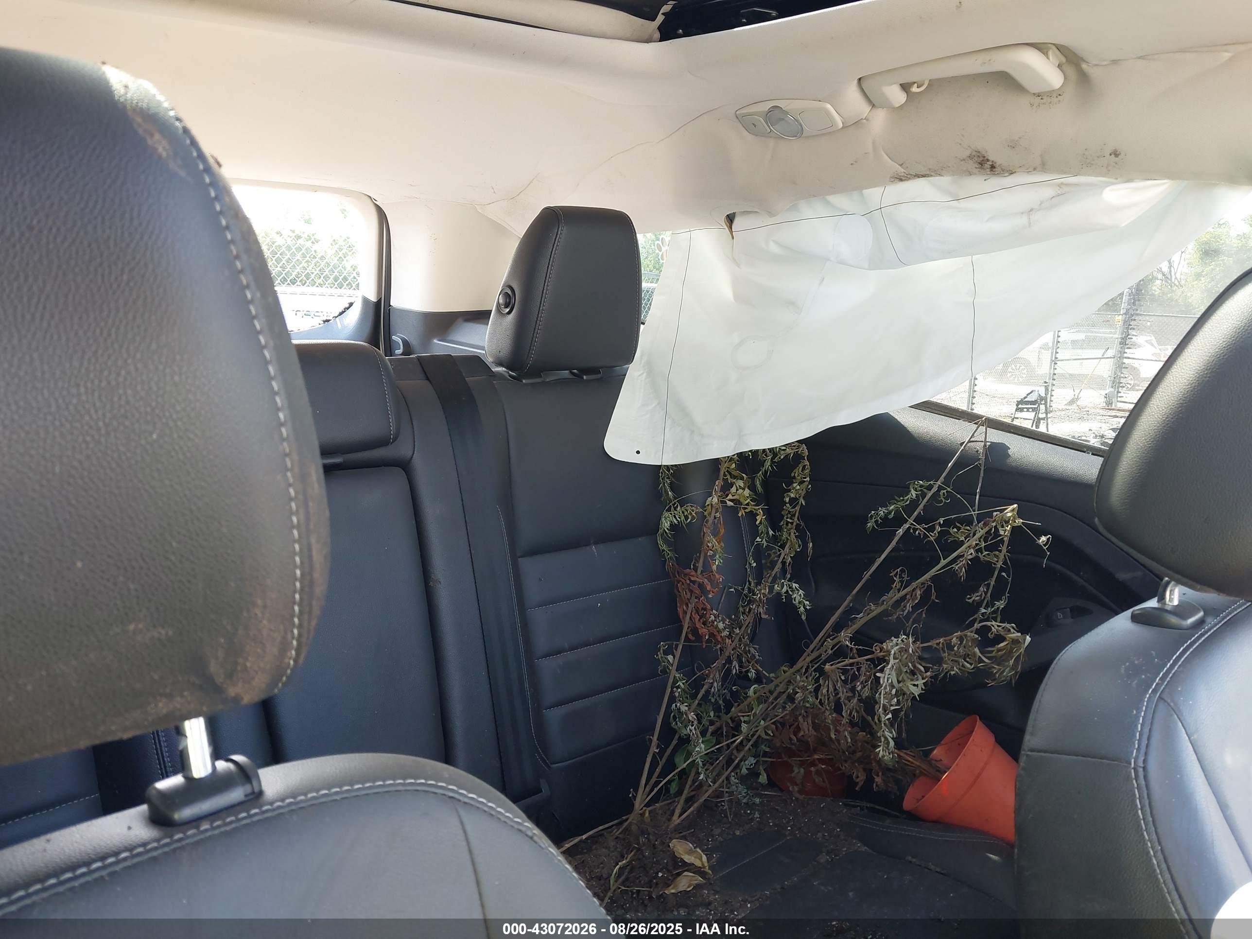 FORD ESCAPE image 8