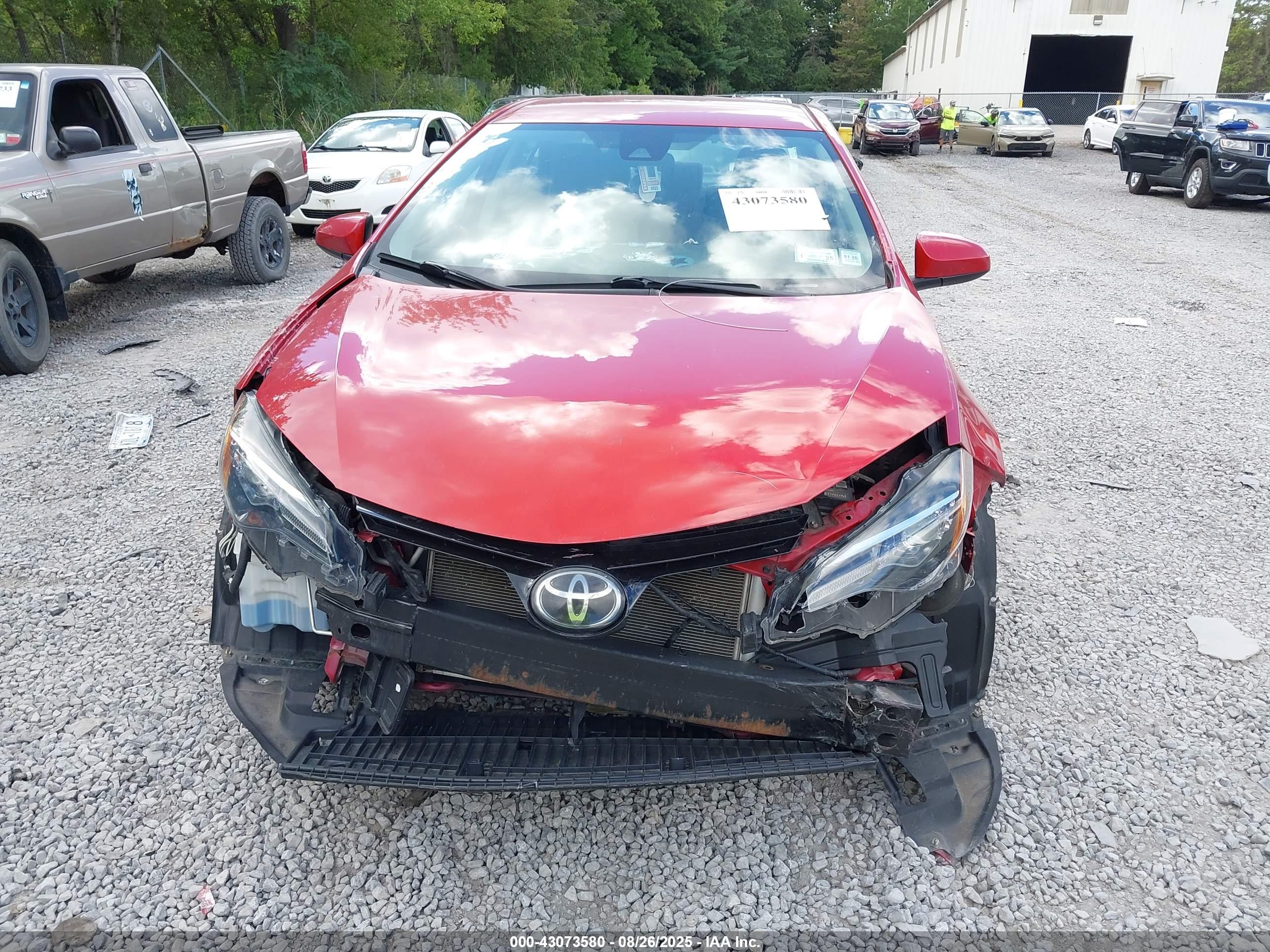 TOYOTA COROLLA image 6