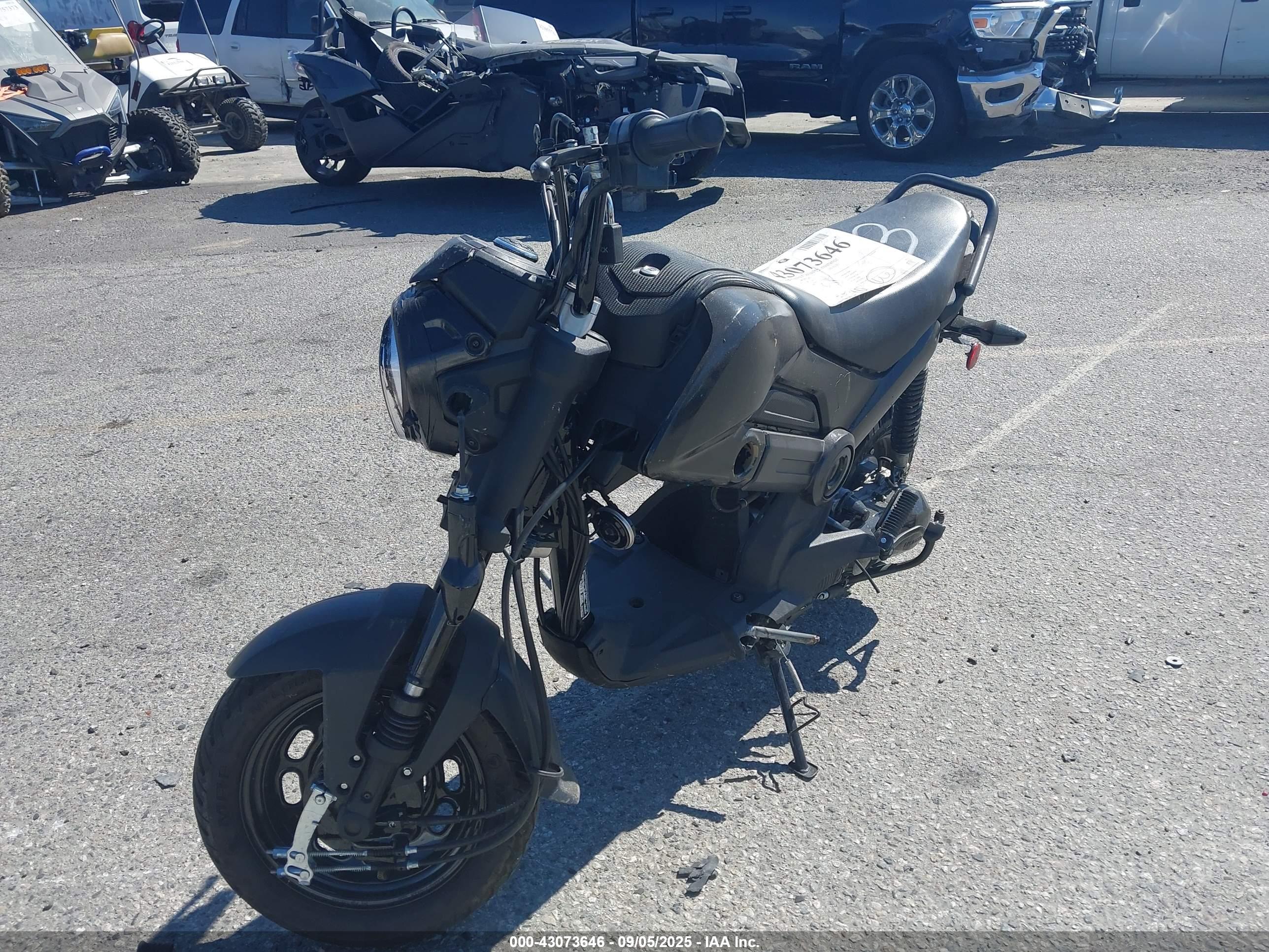 HONDA NVA110 image 2