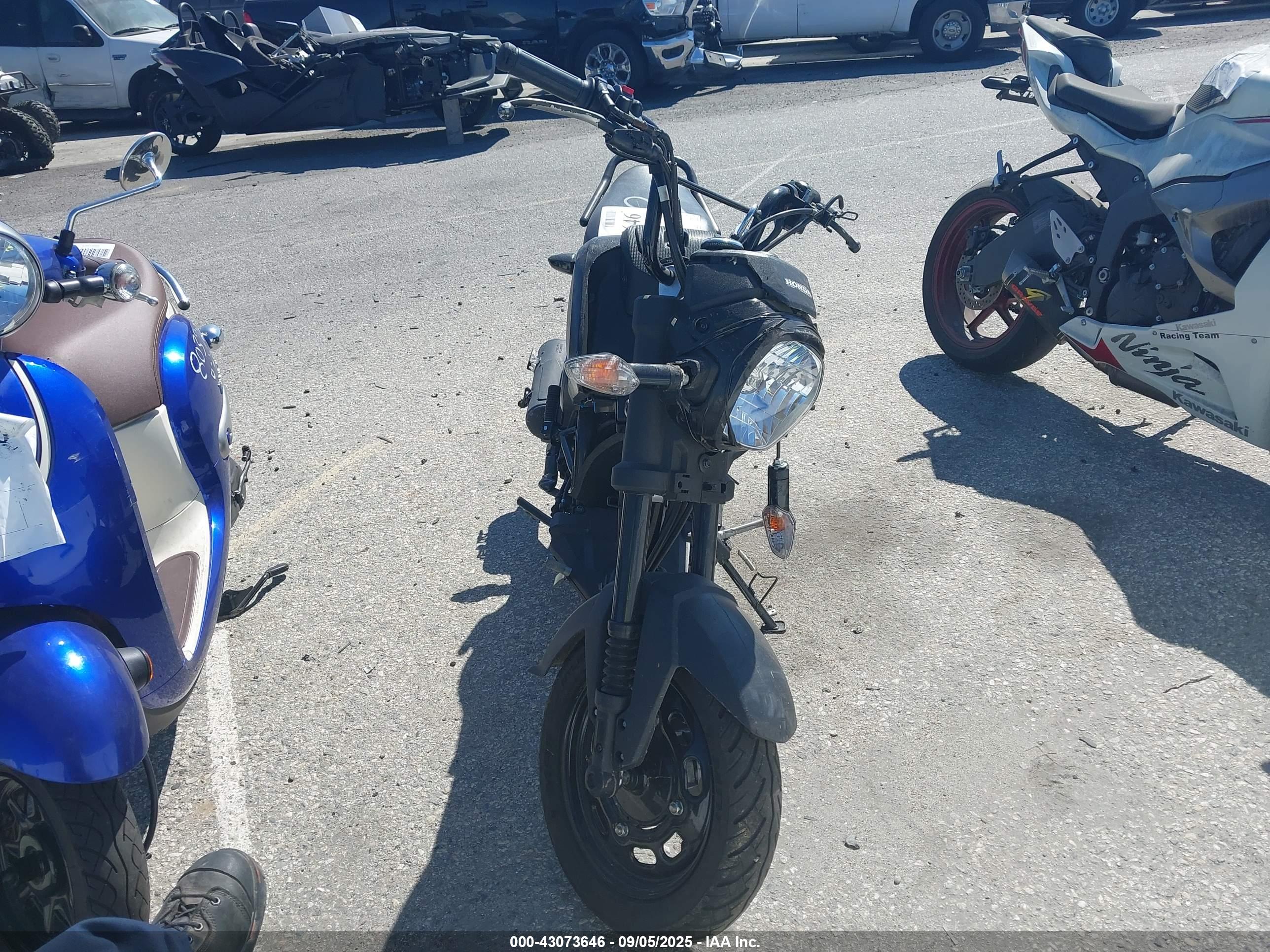 HONDA NVA110 image 5