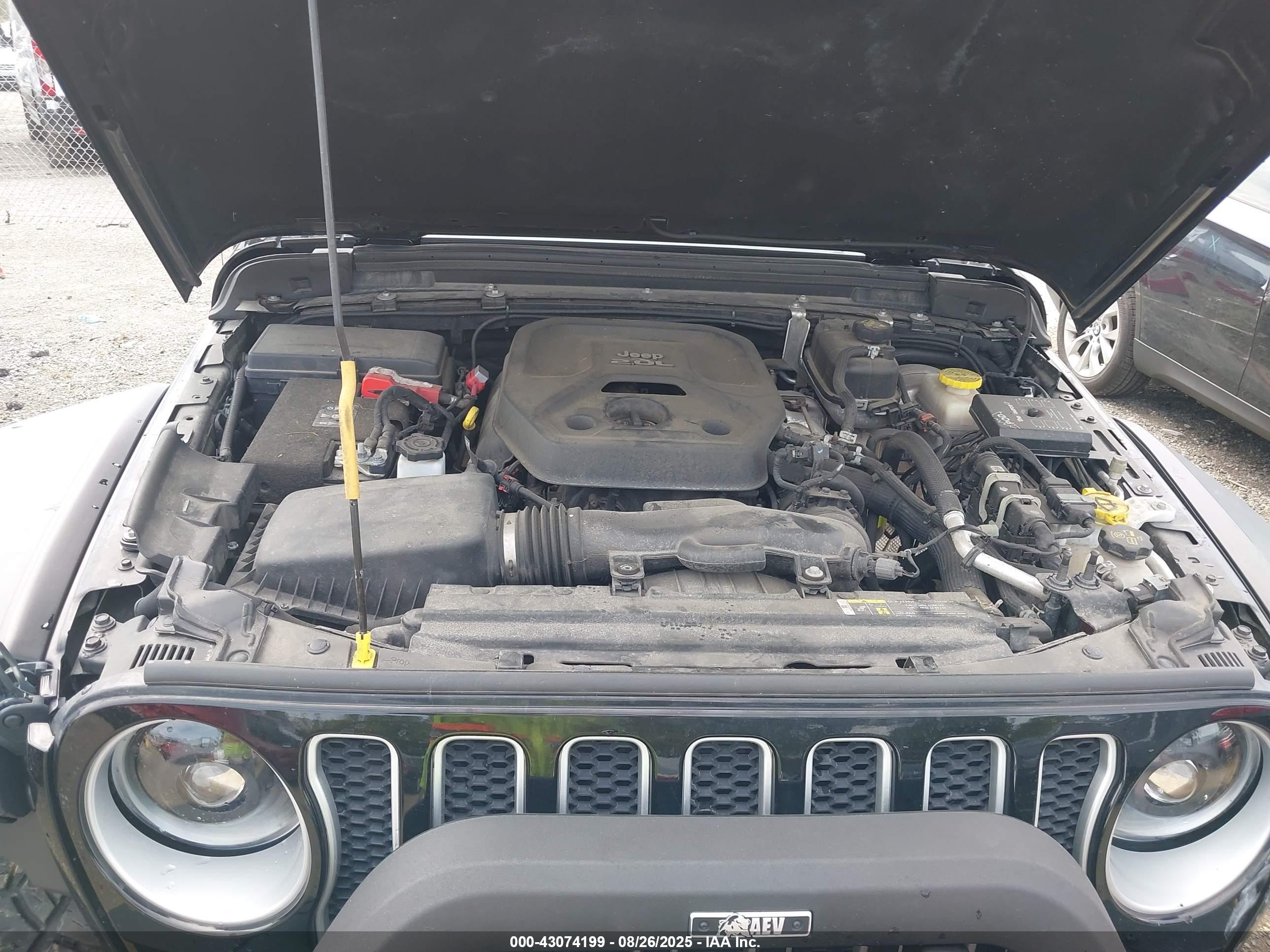 JEEP WRANGLER image 10