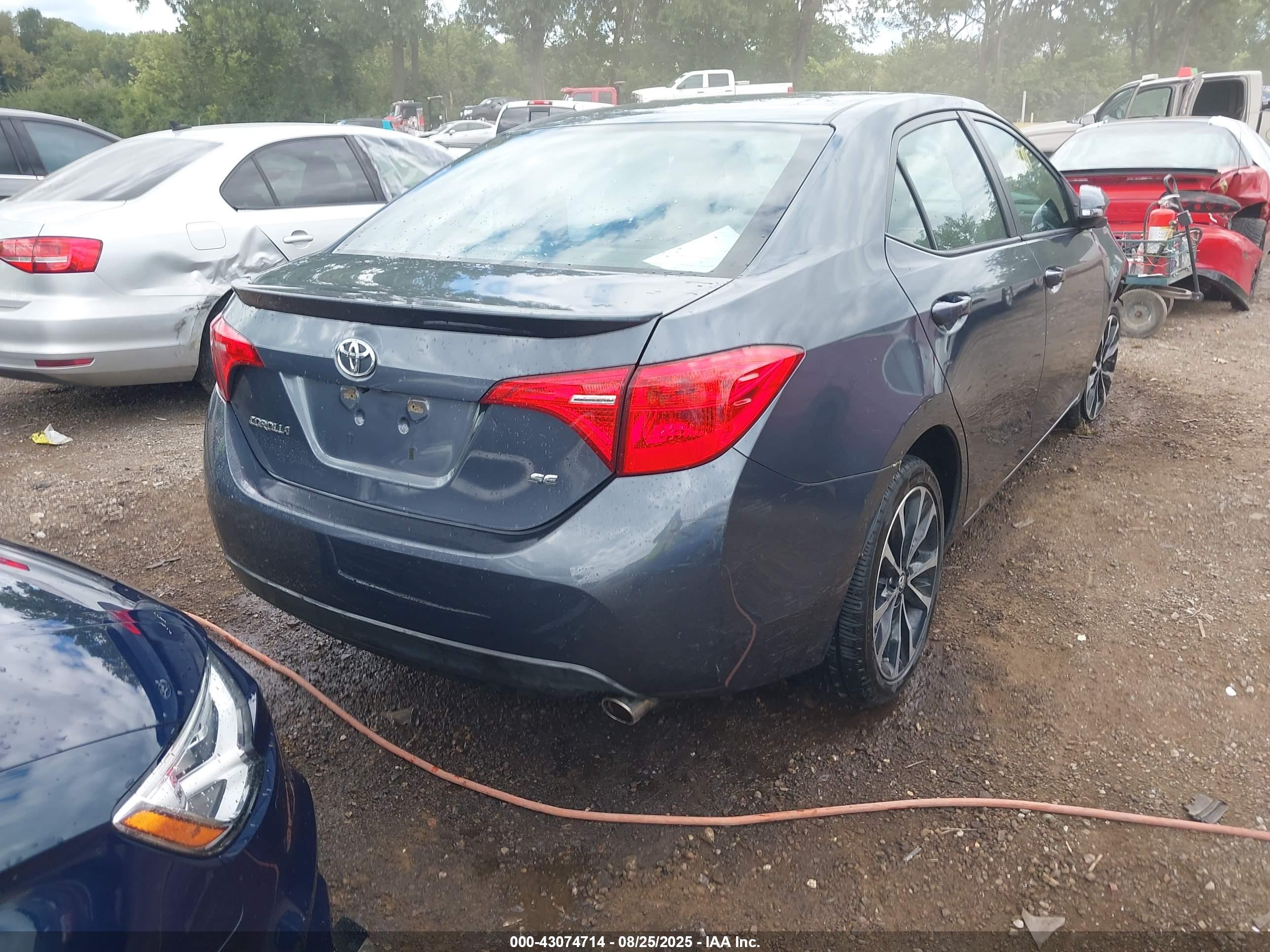TOYOTA COROLLA image 4