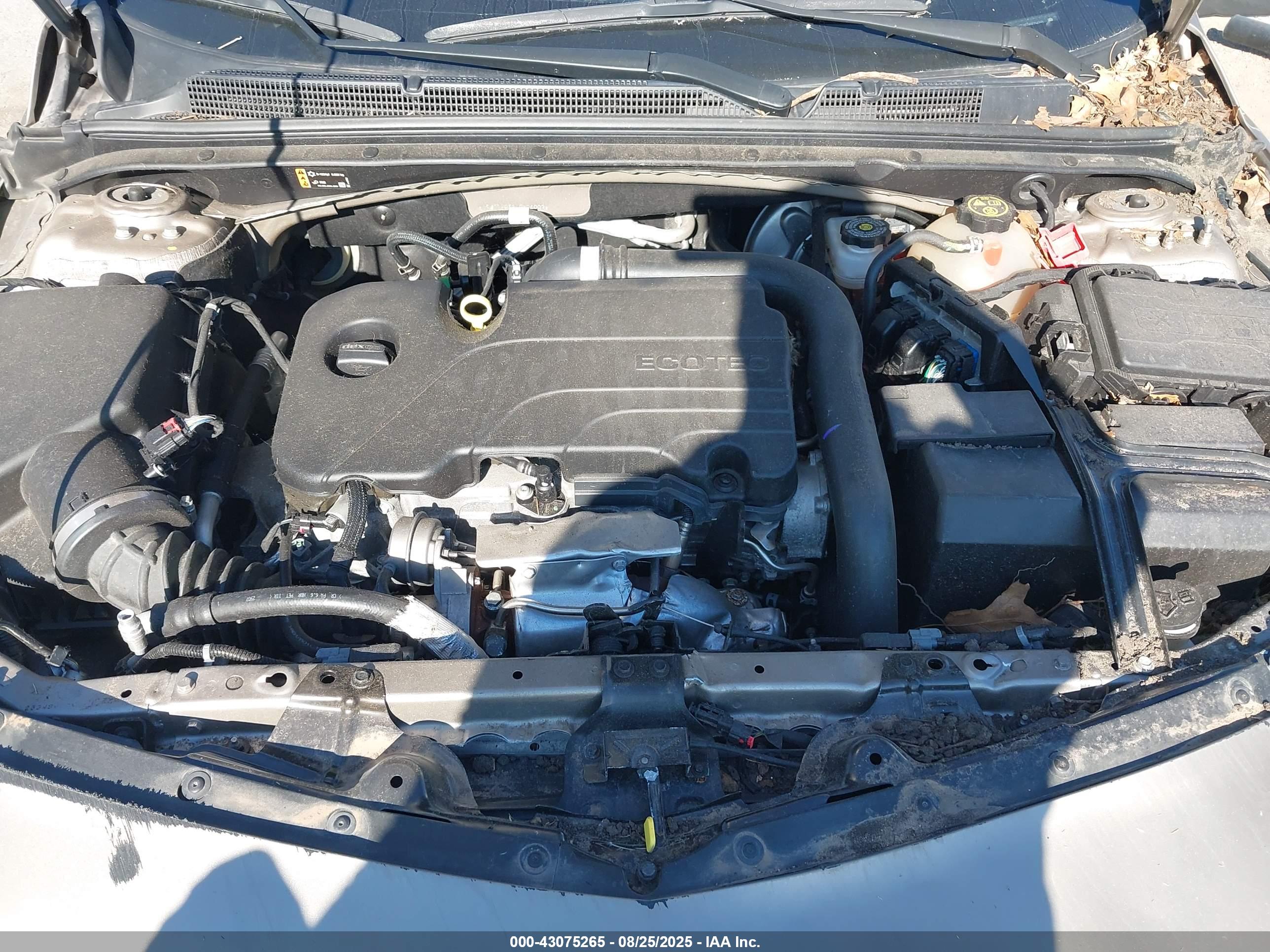 CHEVROLET MALIBU image 10