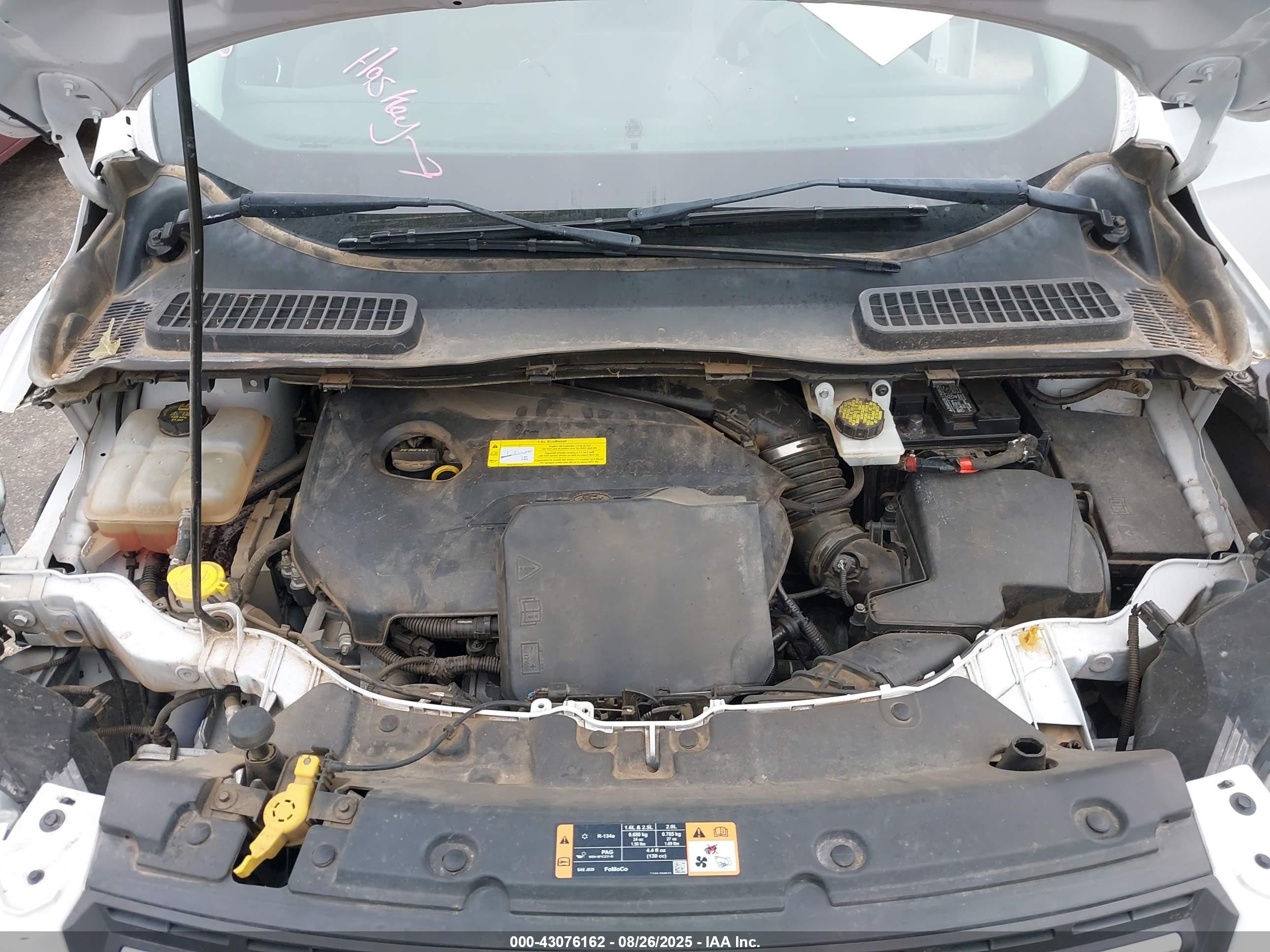FORD ESCAPE image 10