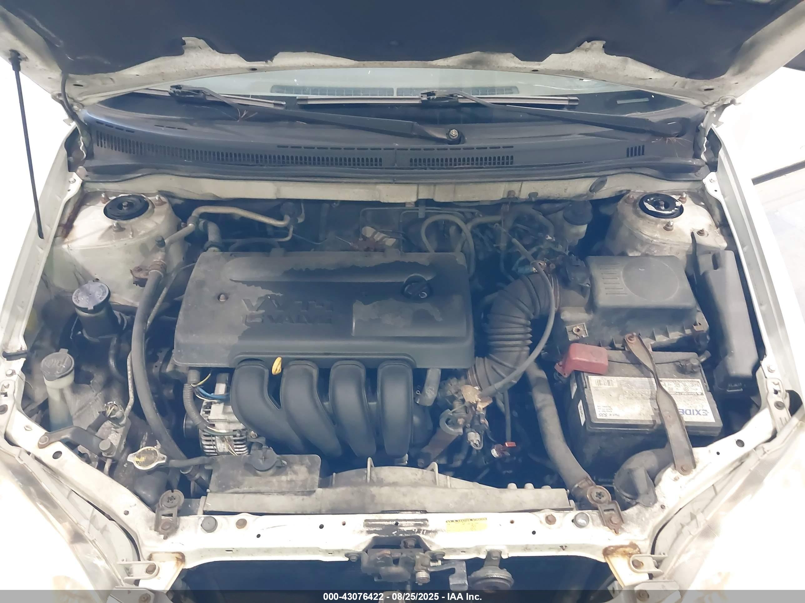 TOYOTA COROLLA image 10
