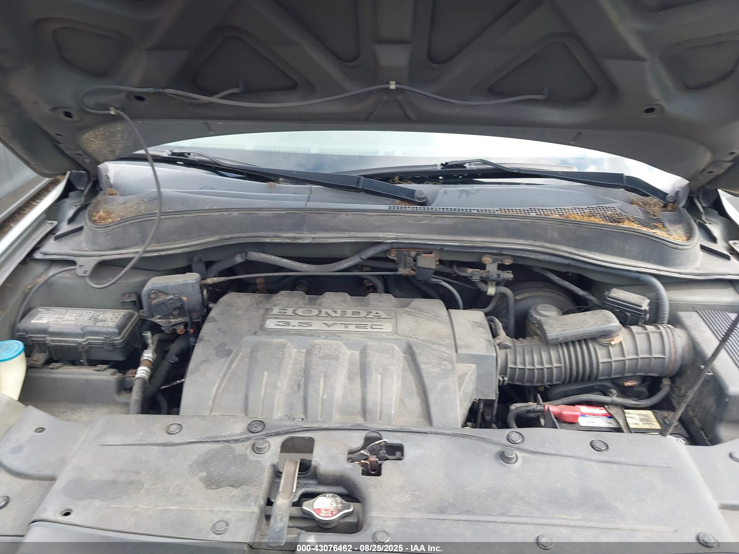 HONDA PILOT image 10