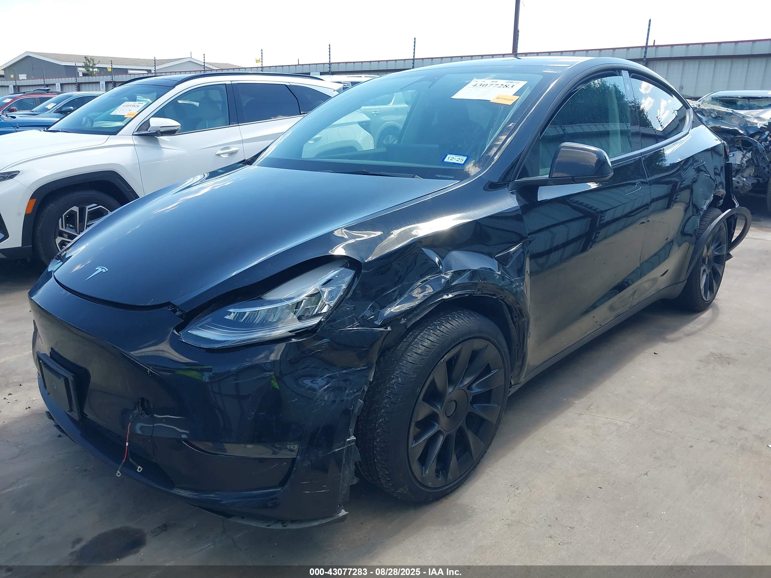TESLA MODEL image 2